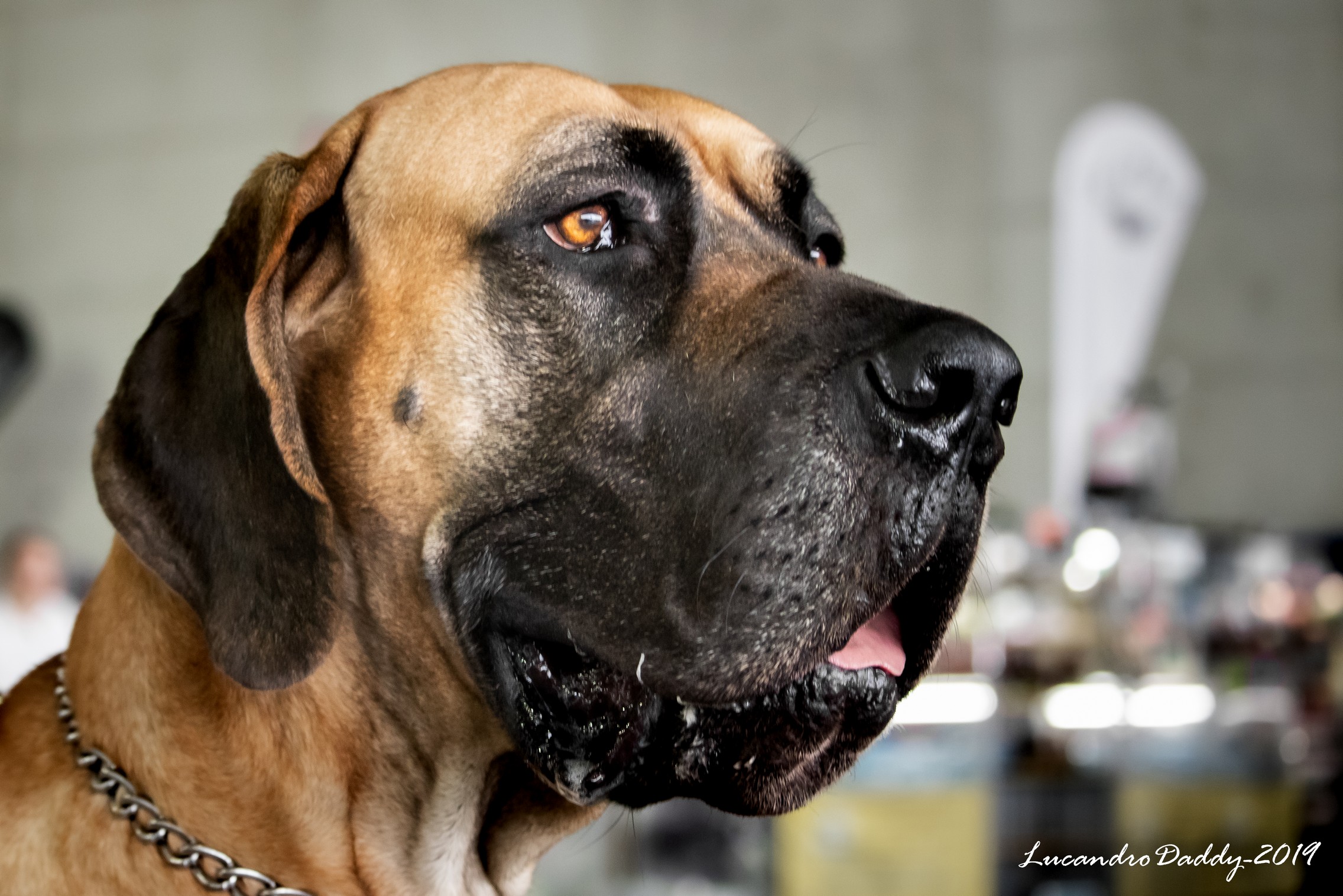 A proud and cuddly look