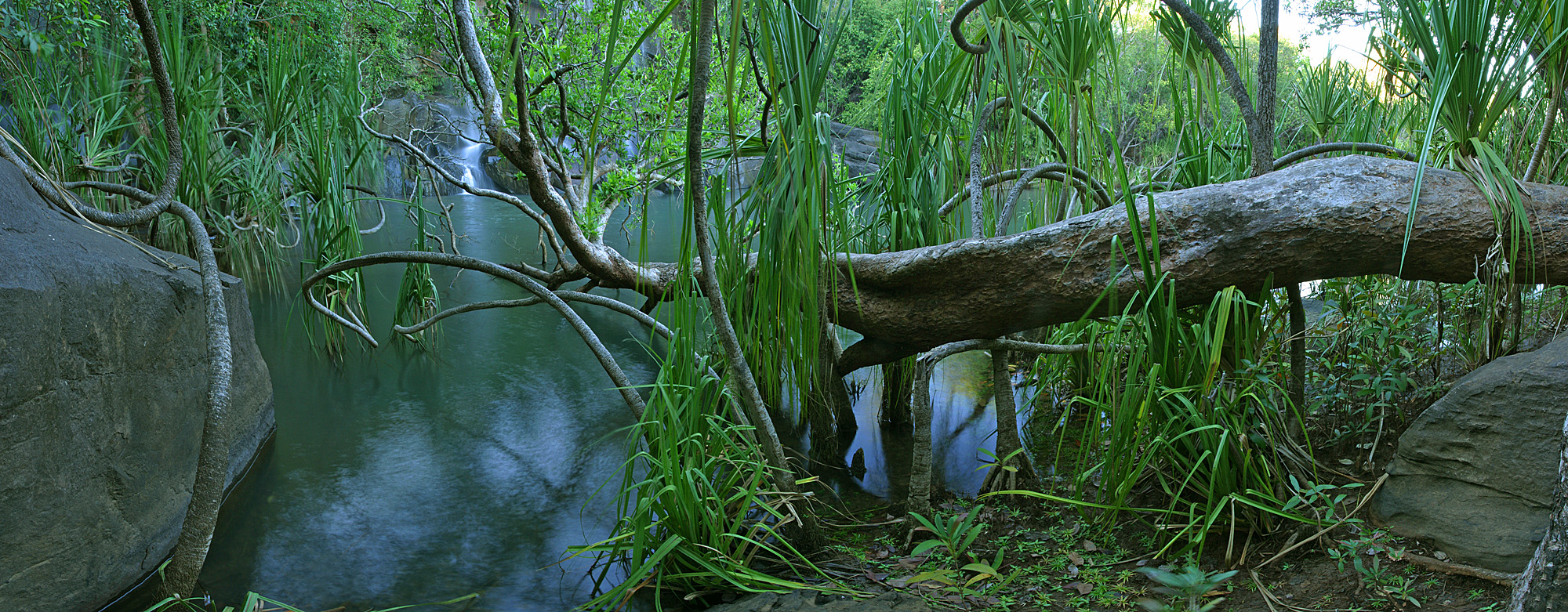 Poco Mertens Falls, Mitchell Plateau, WA, Australia