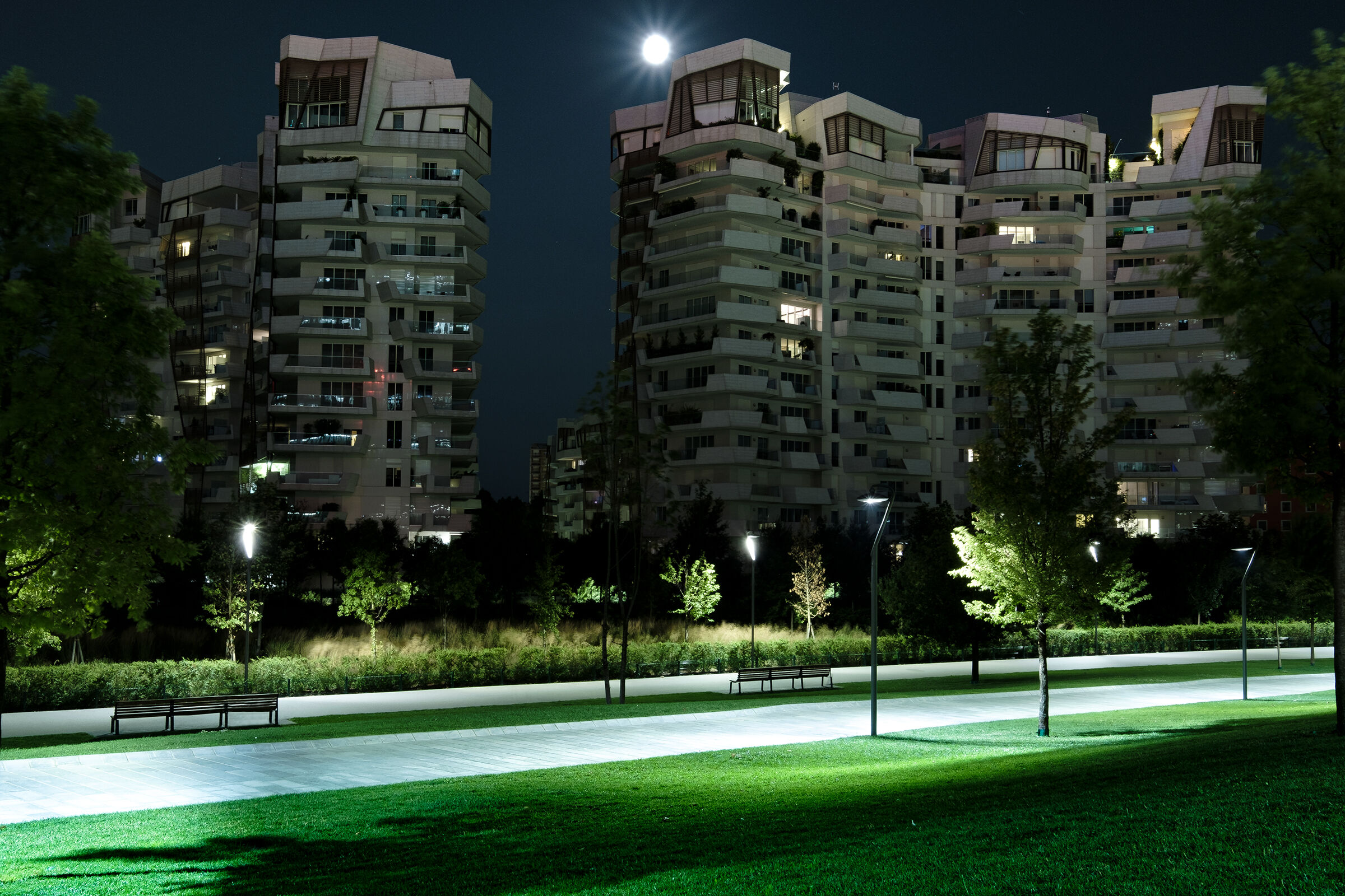 City Life, California