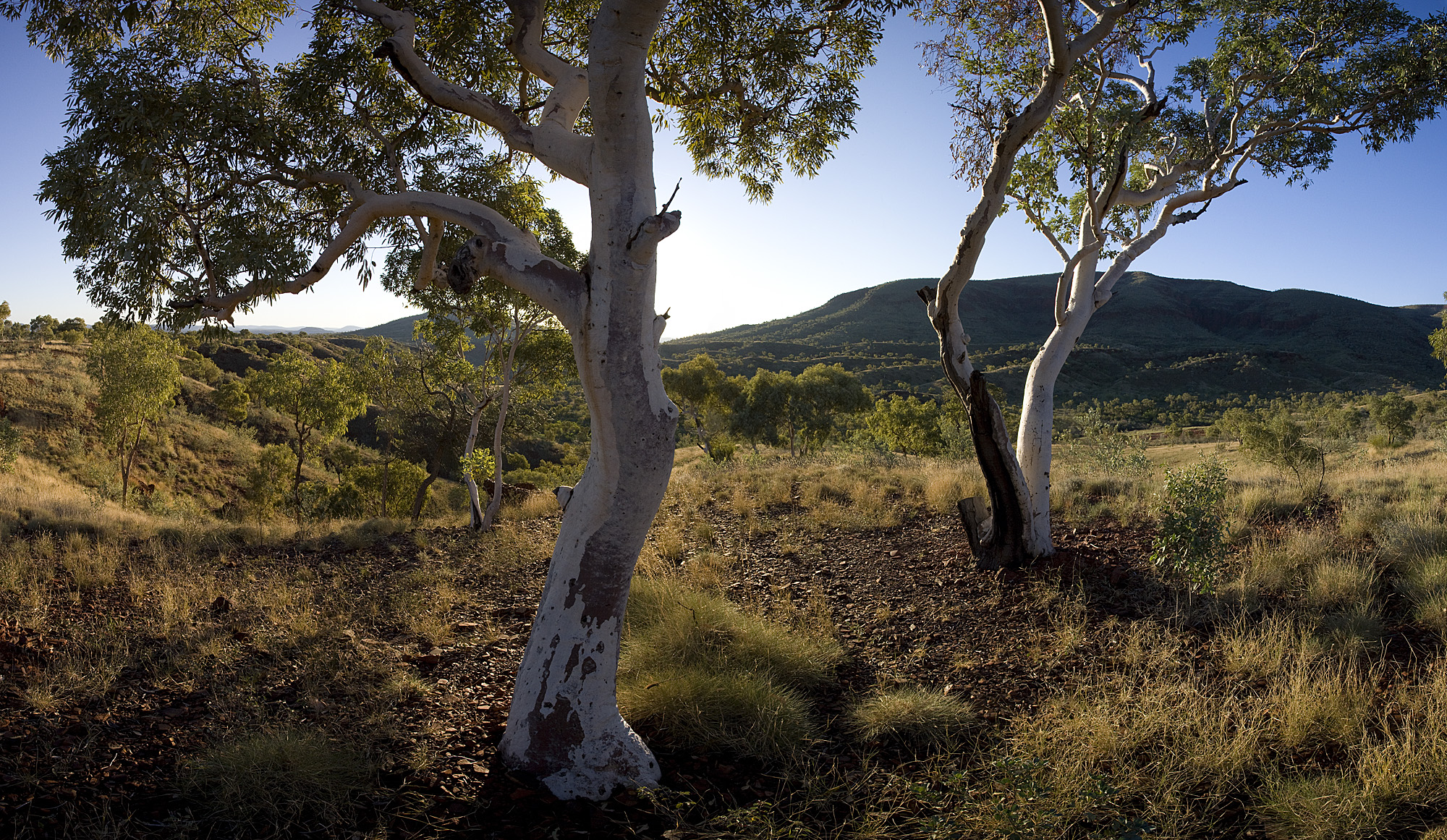 Munjina belvedere Gorge, Pilbara, WA, Australia