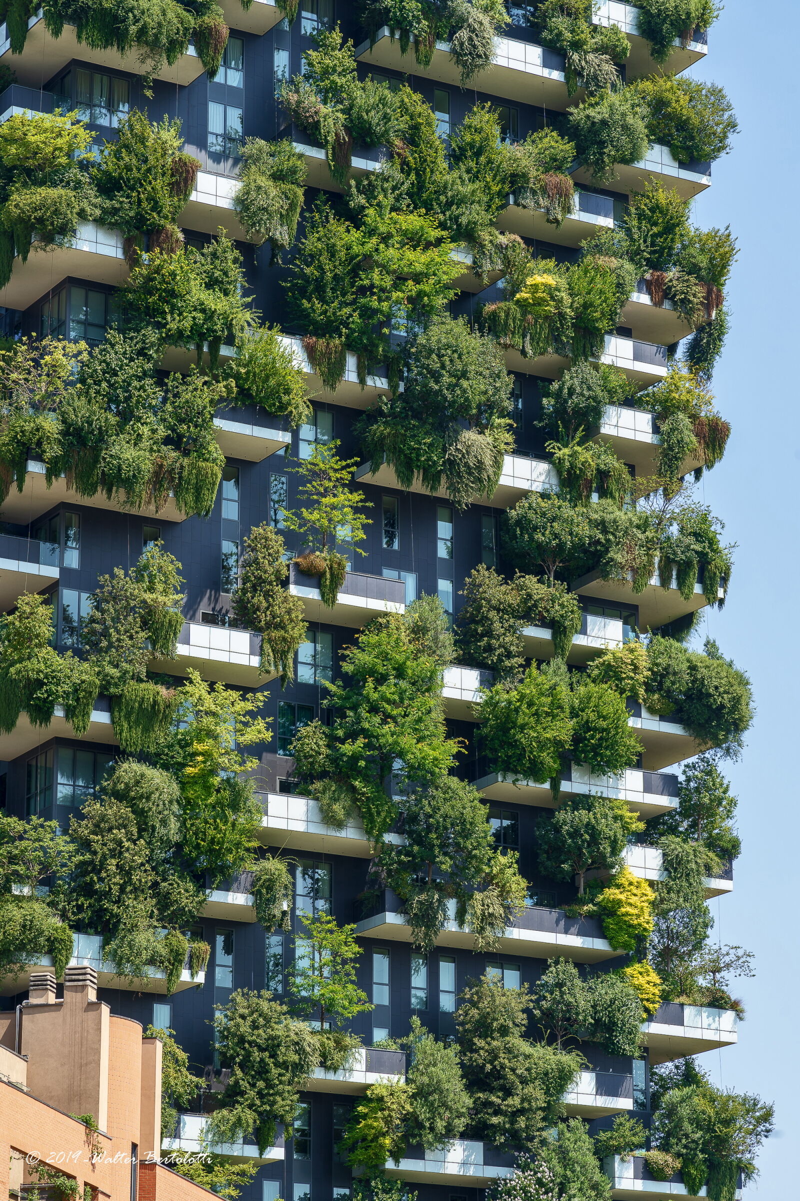 ... maybe it's a tree, yes it's a tree, it's thirty stories.