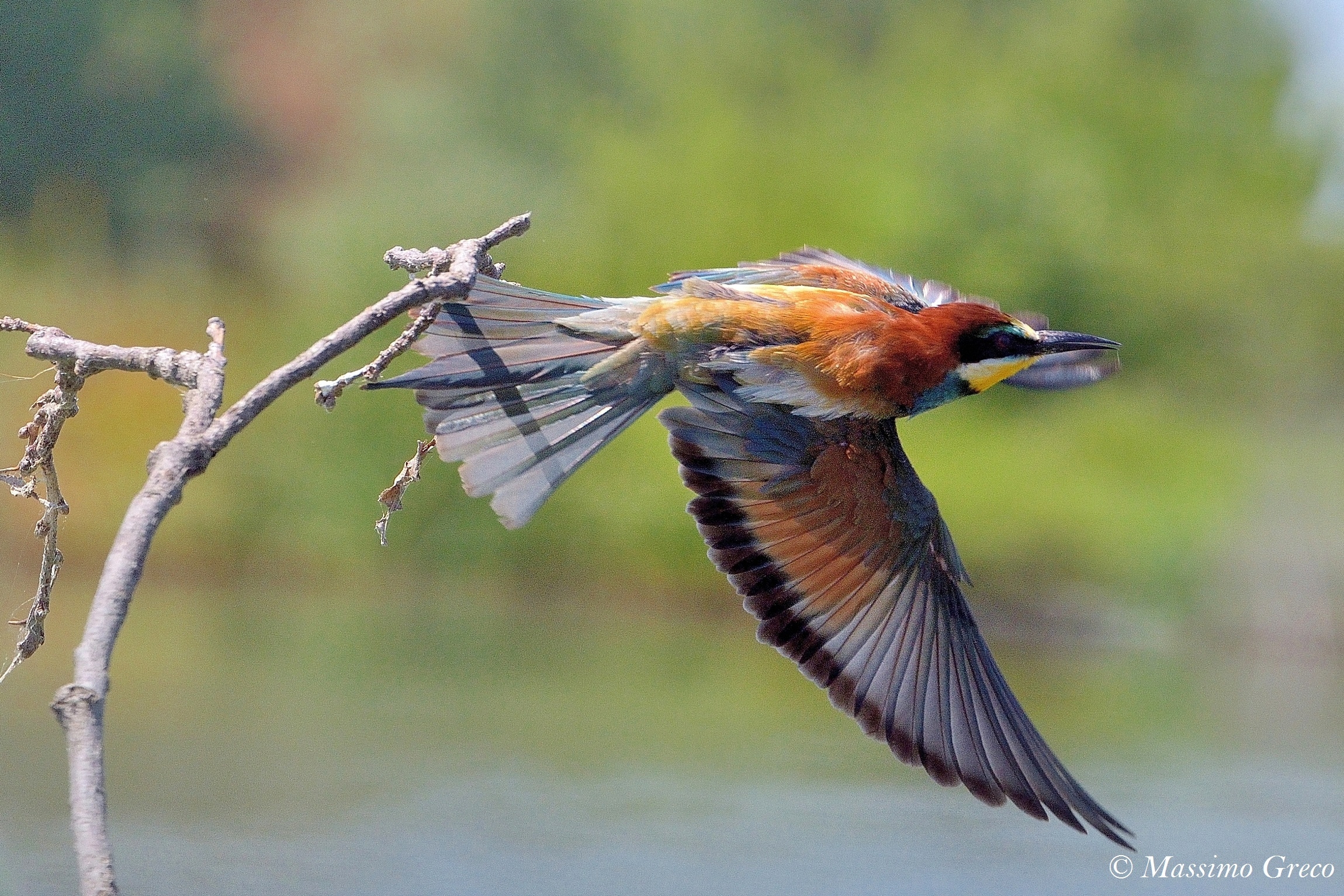 Scratch in flight