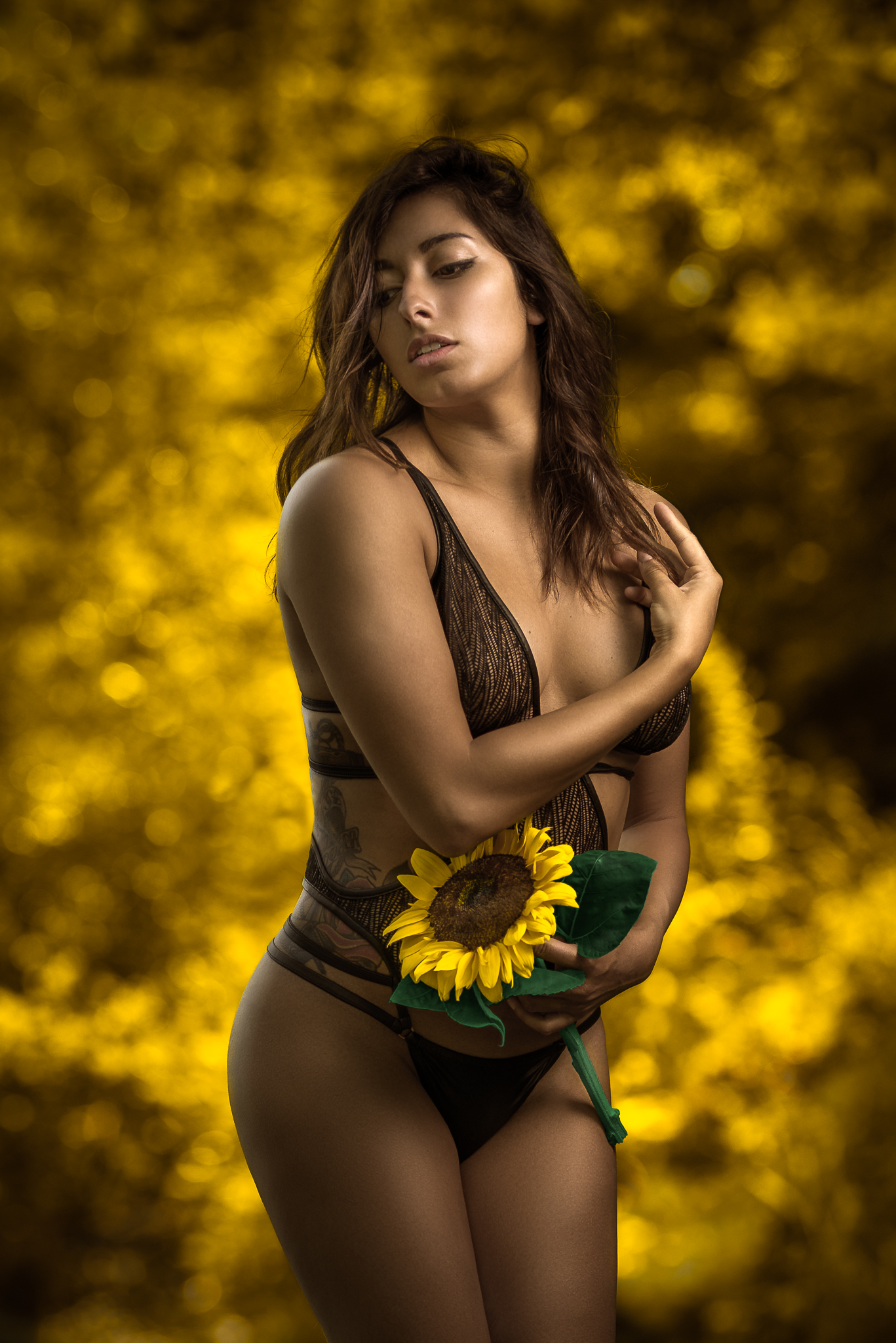 - Sunflower - Julia