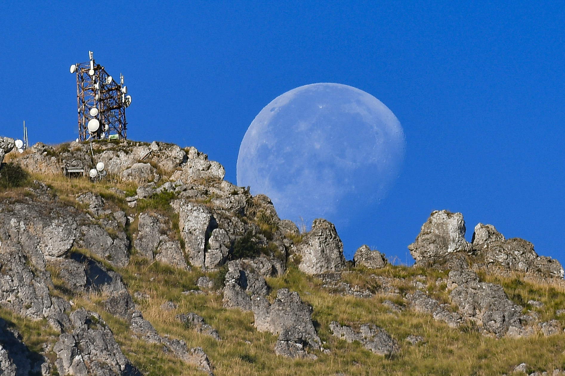 ... Answer it step by step...