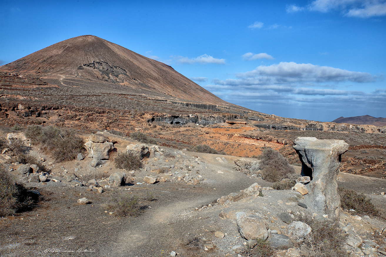 Lanzarote Antigua Rofera