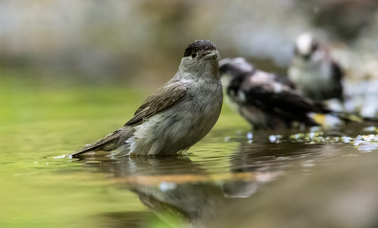 Beauty in the bathroom