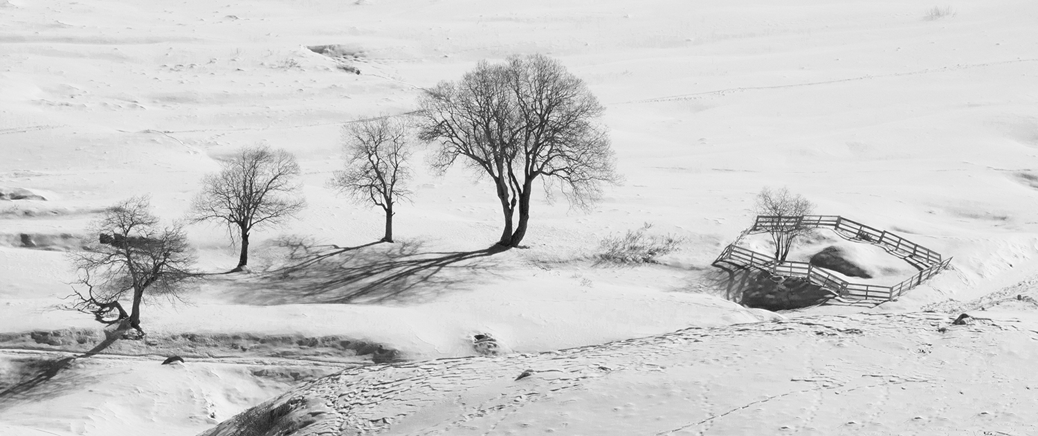 Paintings in the snowy prairie,