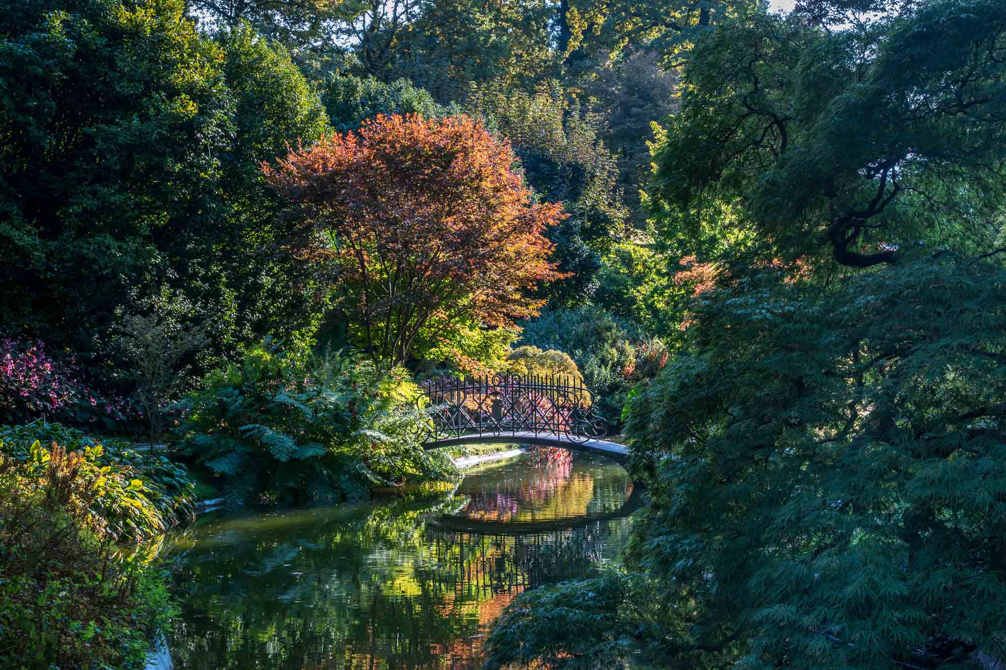 Autumn Foliage at Villa Melzi