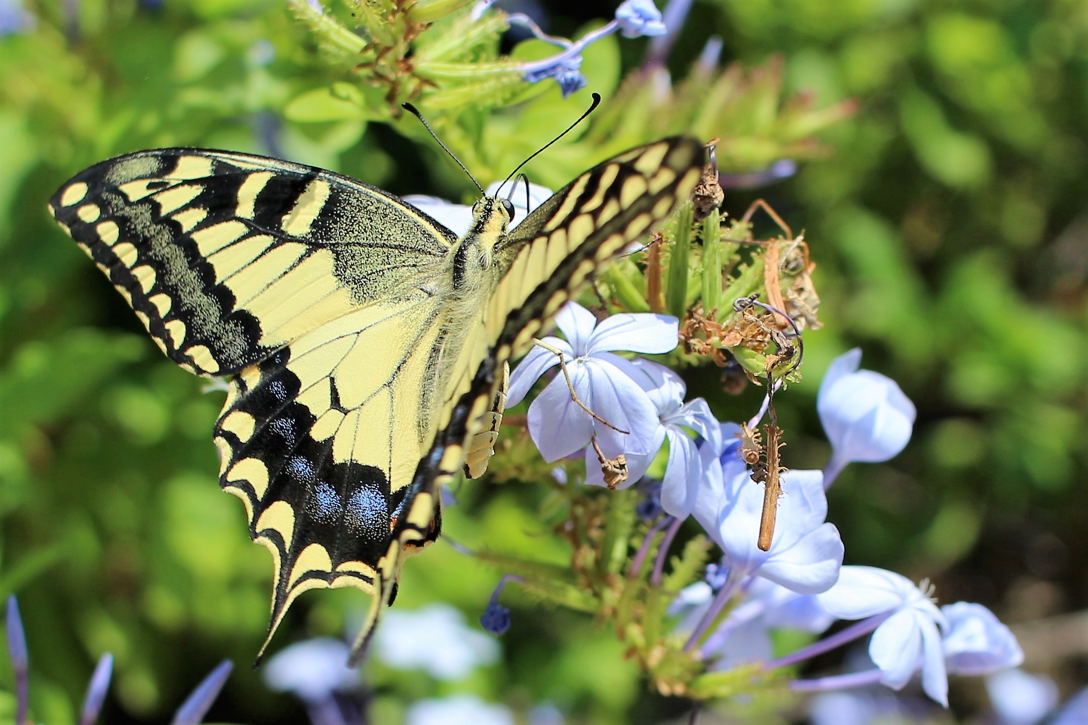 Meetings at the park