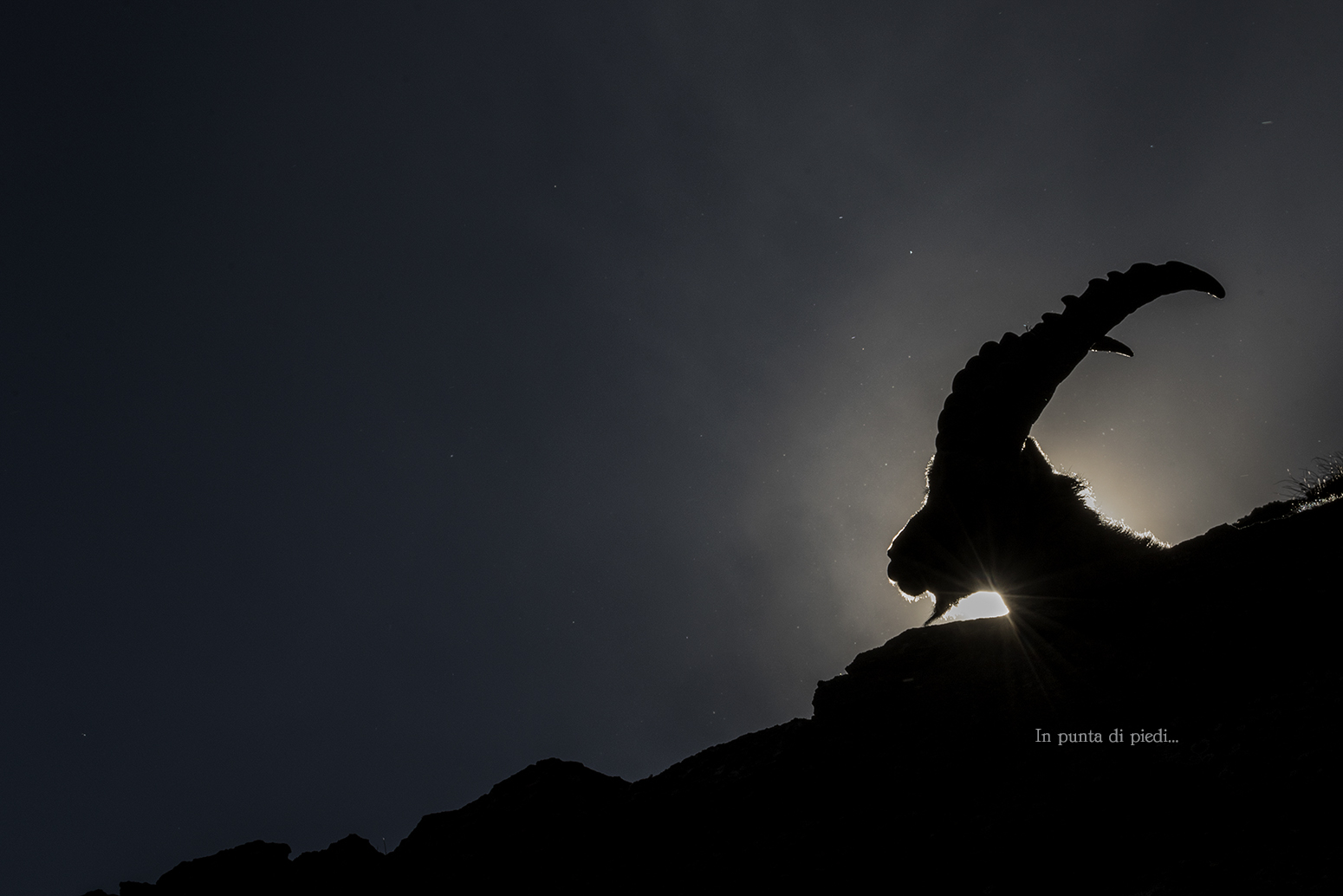 In the Sunset Light...