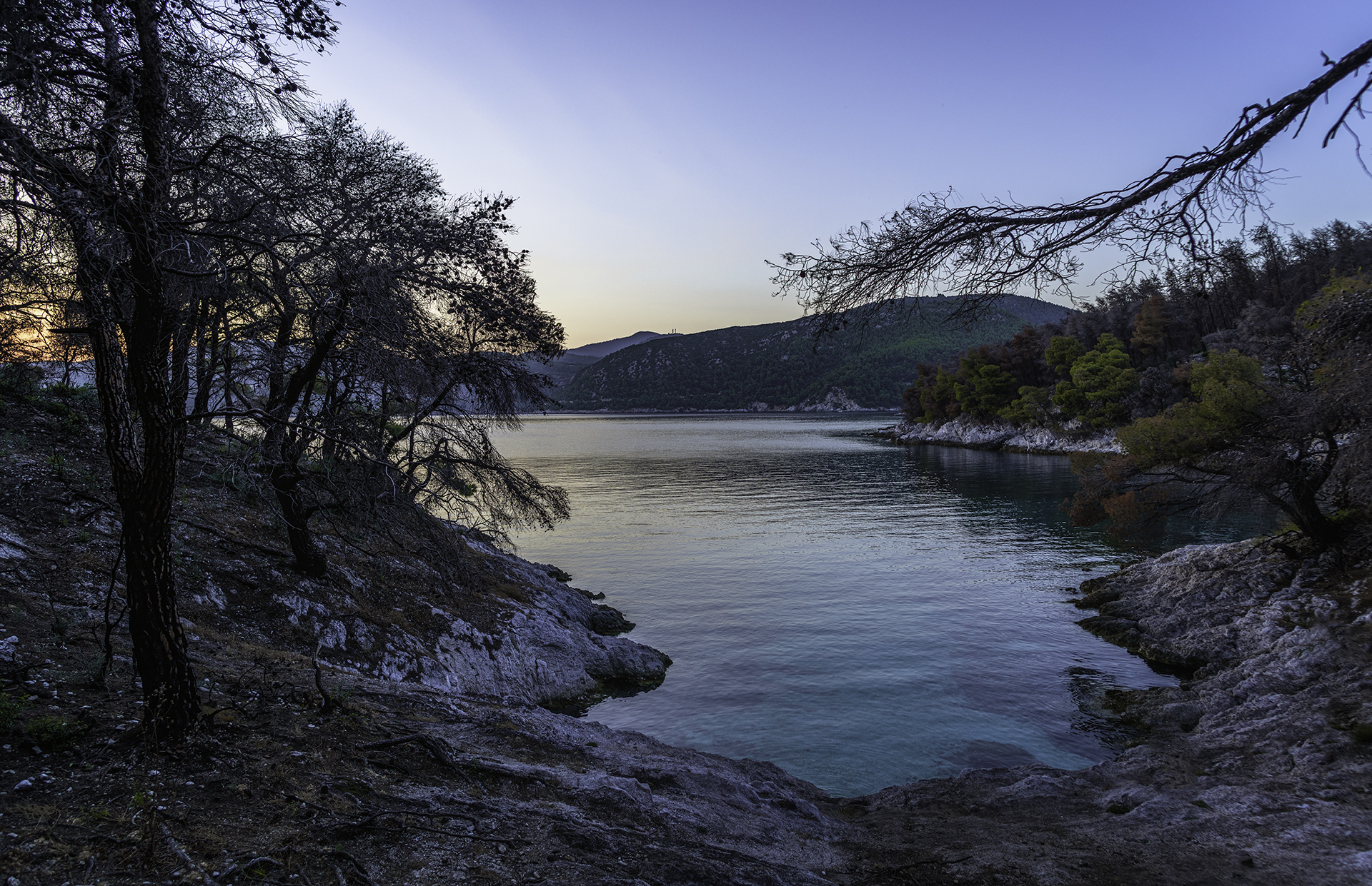 Three Trees Amarandos