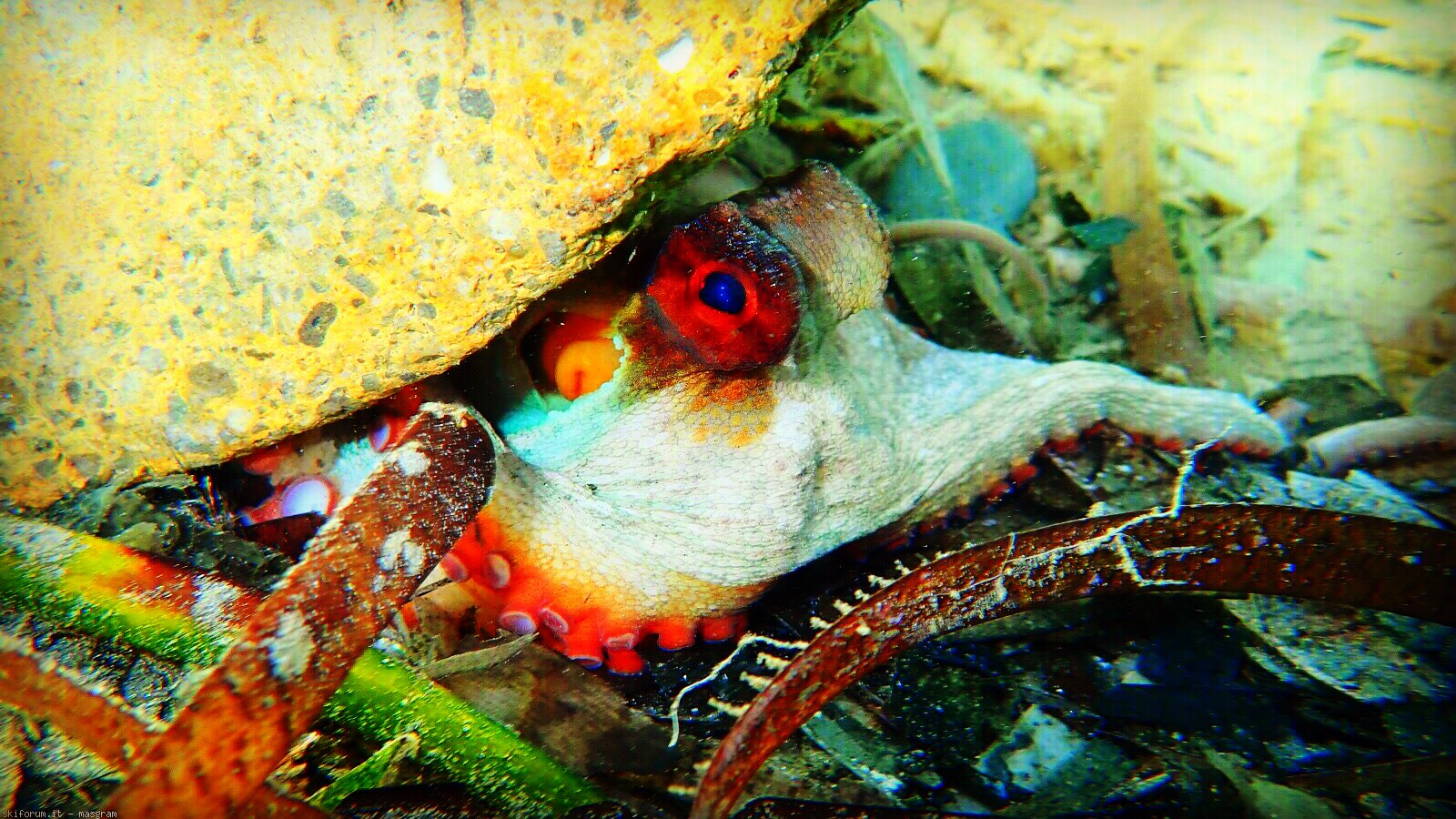 Let's see a little bit