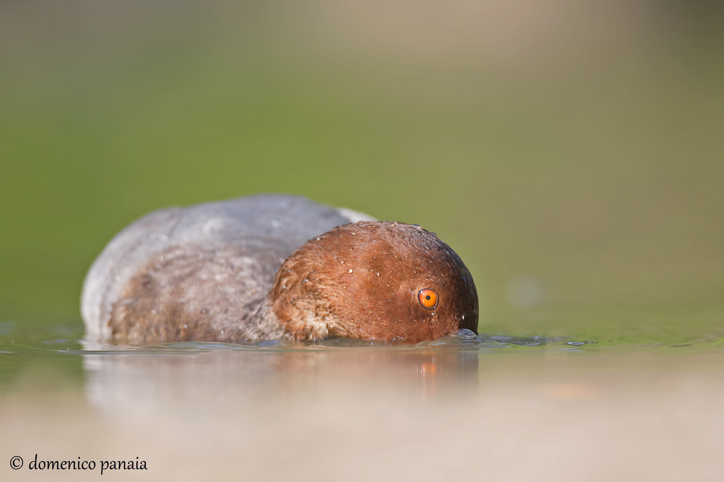 più sdraiato di così.....
