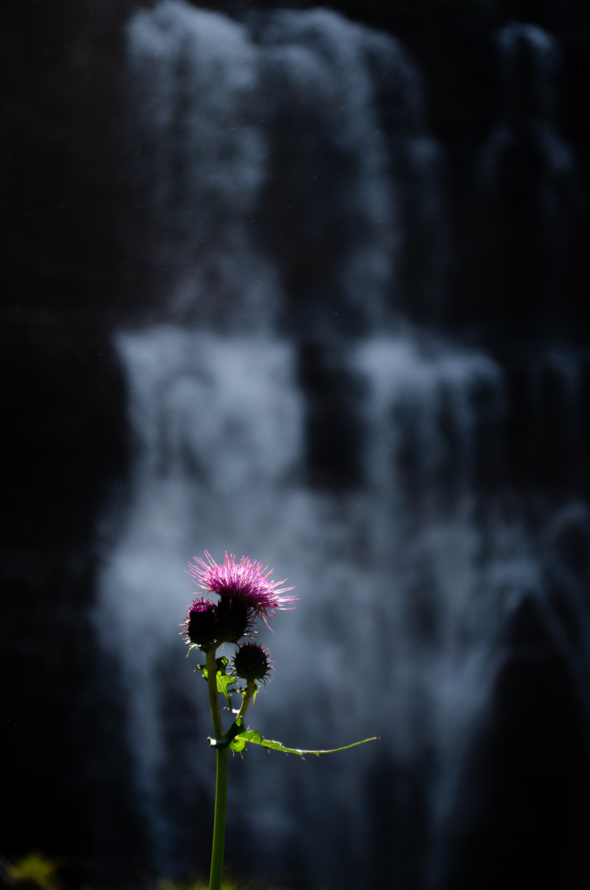 Ai piedi della cascata