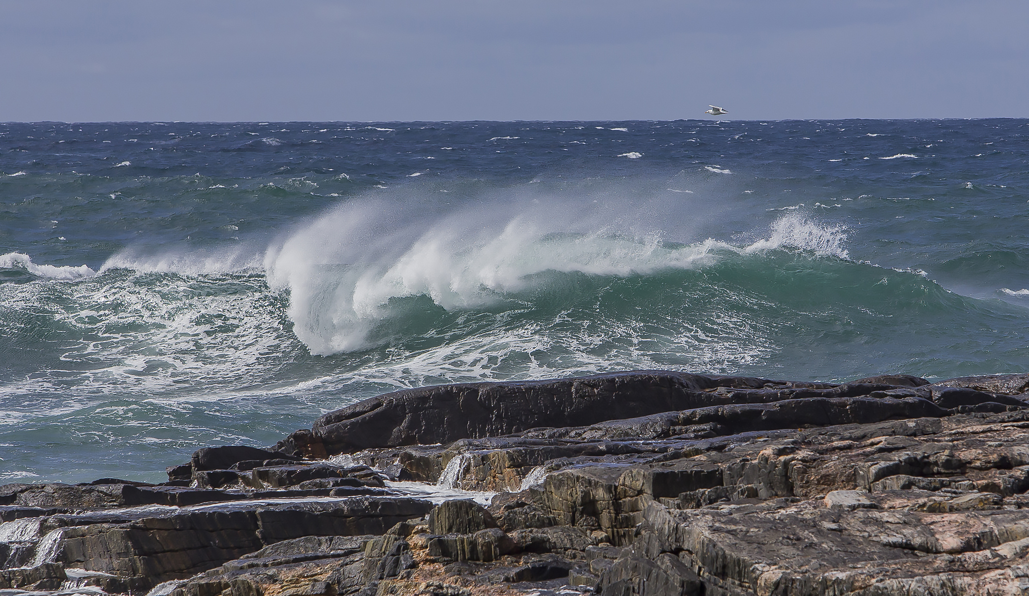 Paesaggio dalla Norvegia
