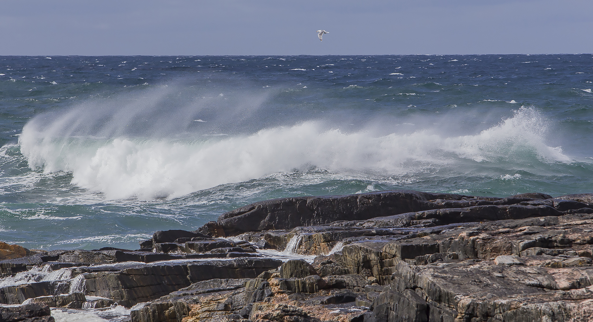 Paesaggio dalla Norvegia