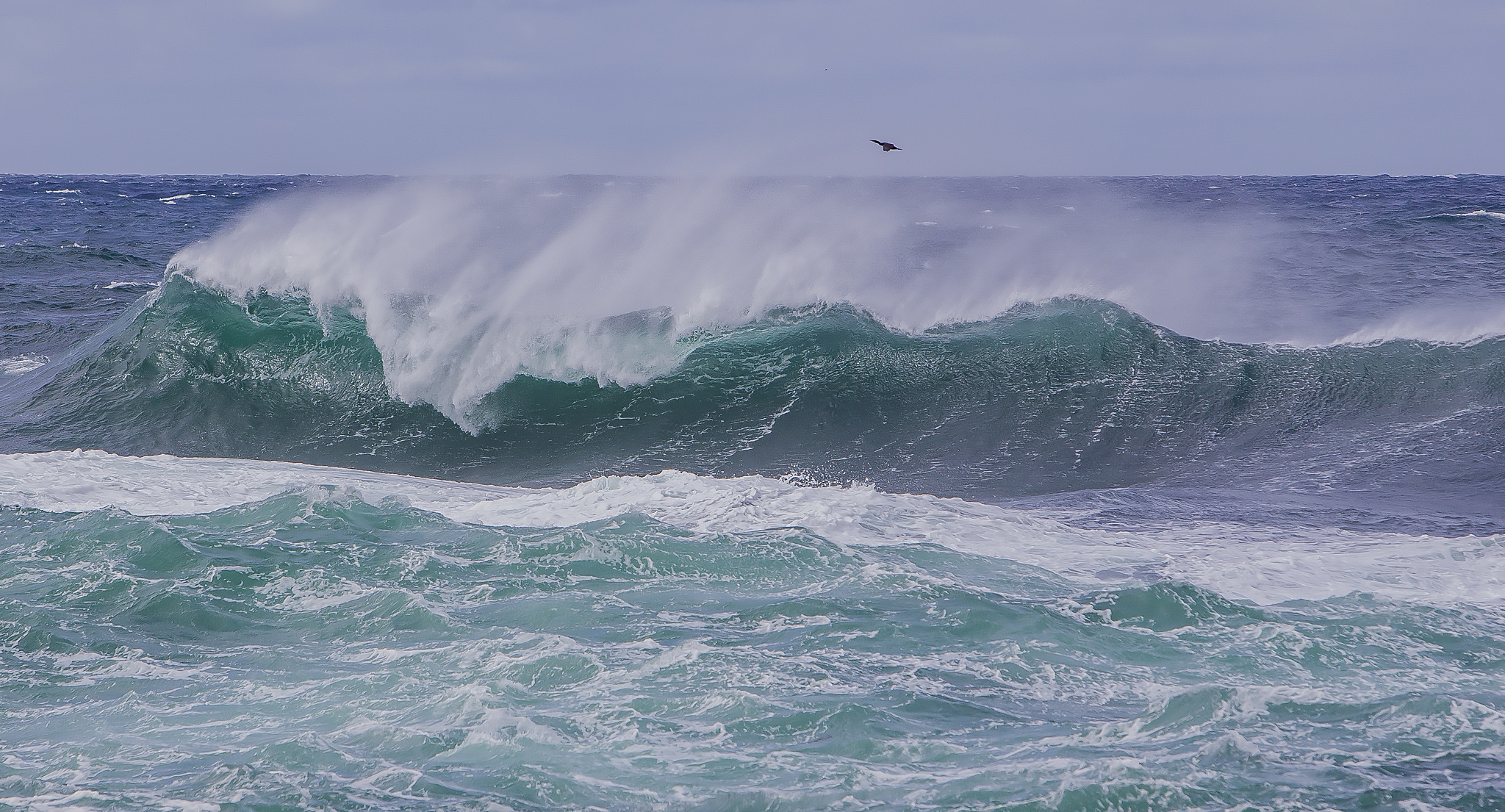Paesaggio dalla Norvegia