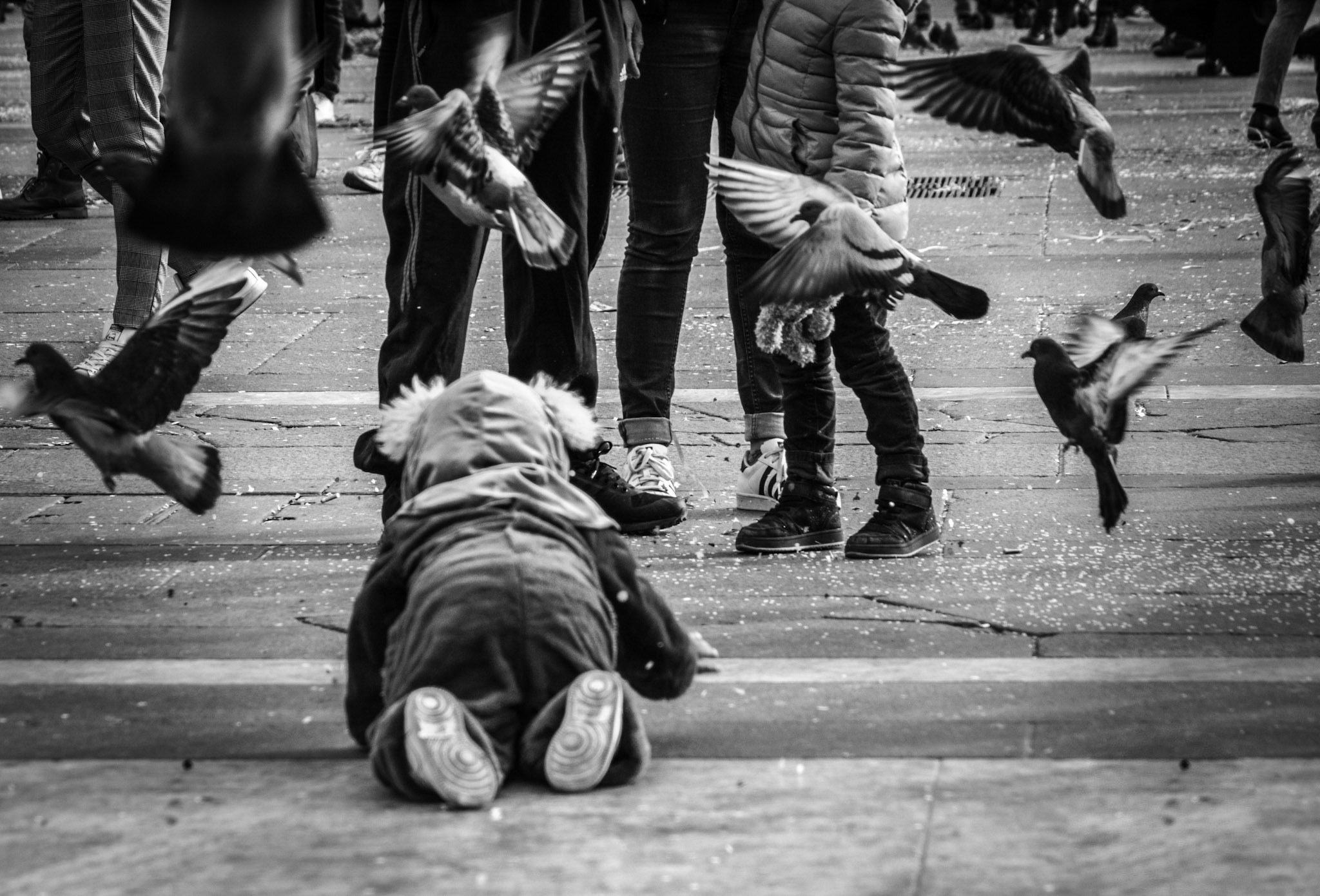 Carnival in Cathedral