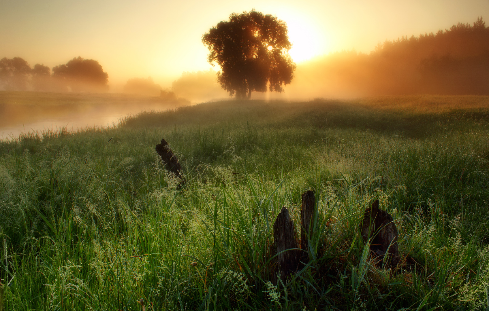 Foggy morning
