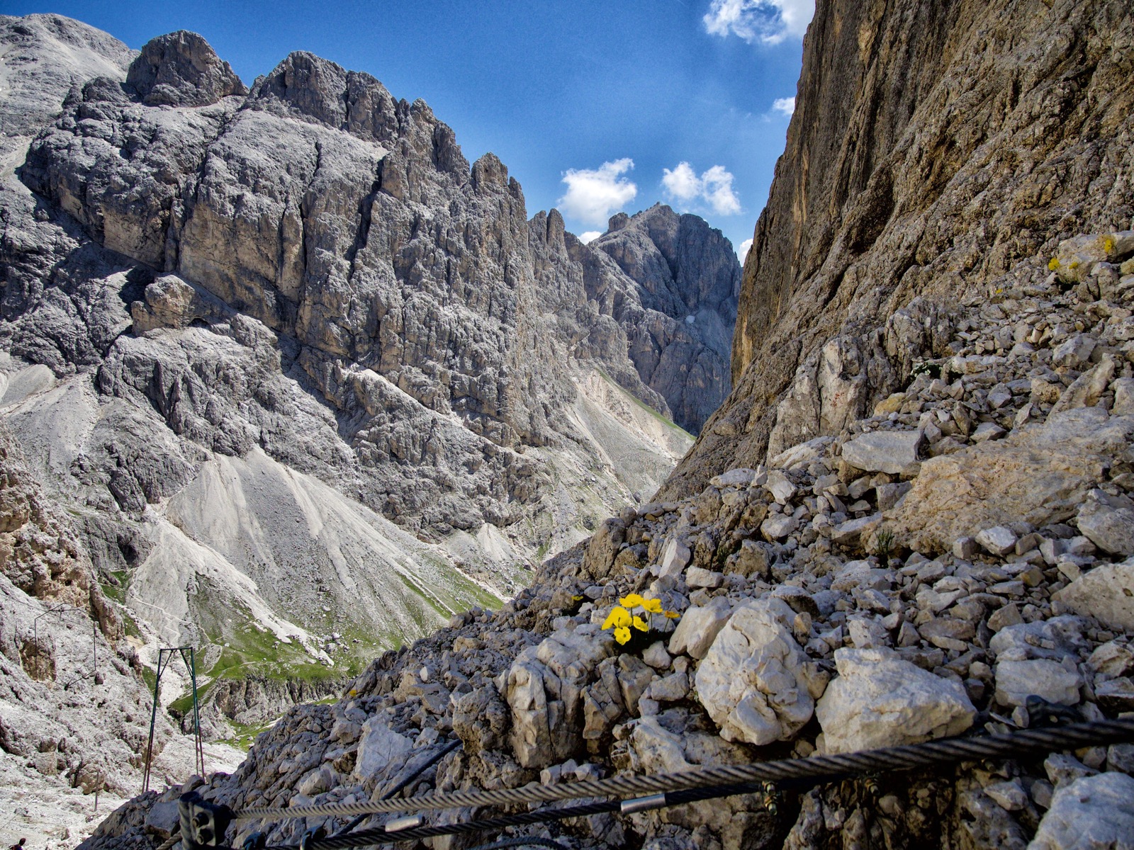 La forza della delicatezza