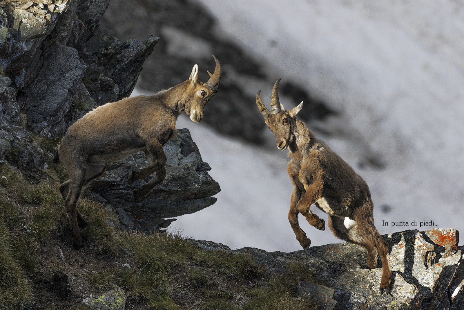 The concentration...