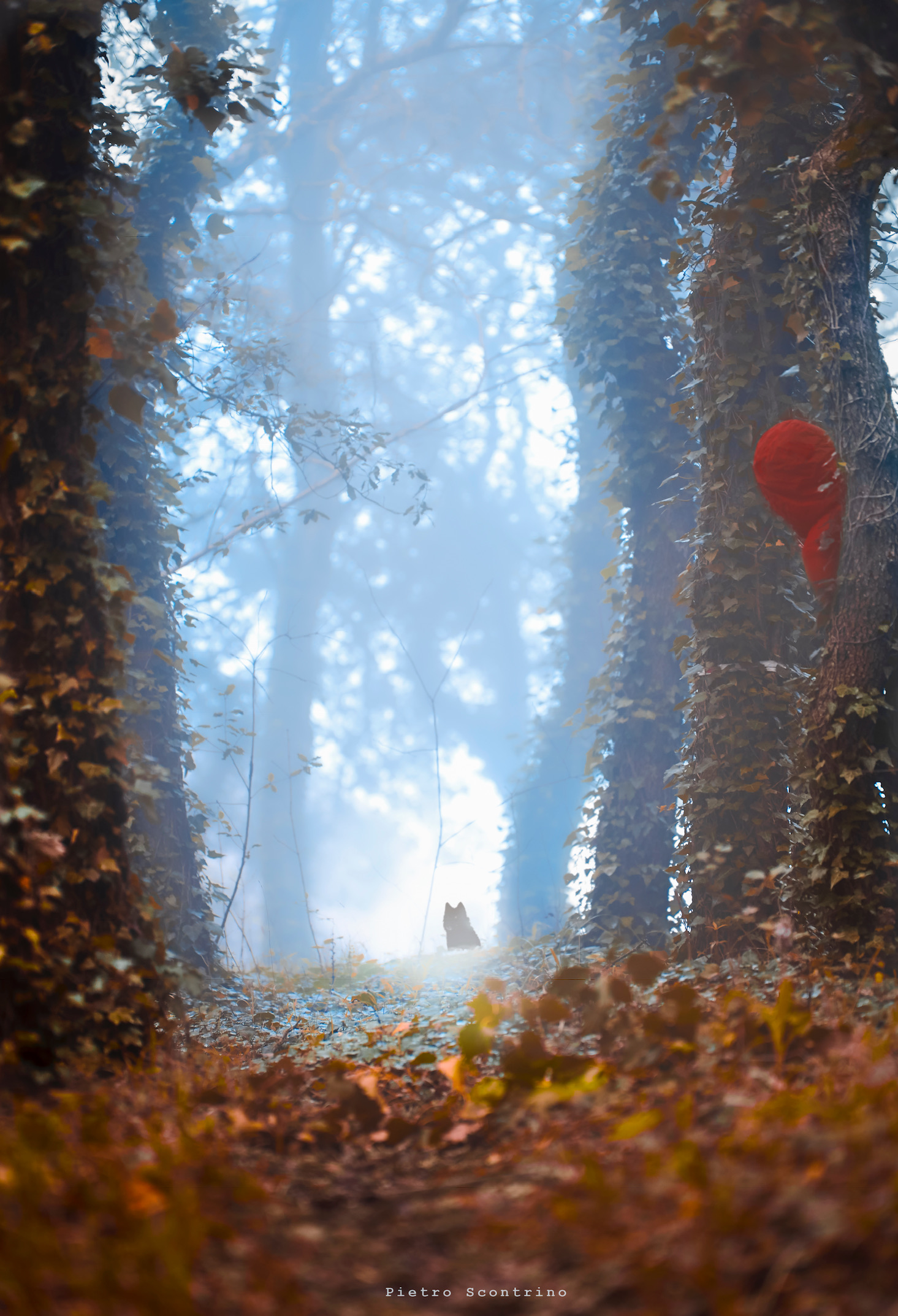 Mi sa che questa volta il lupo la prende