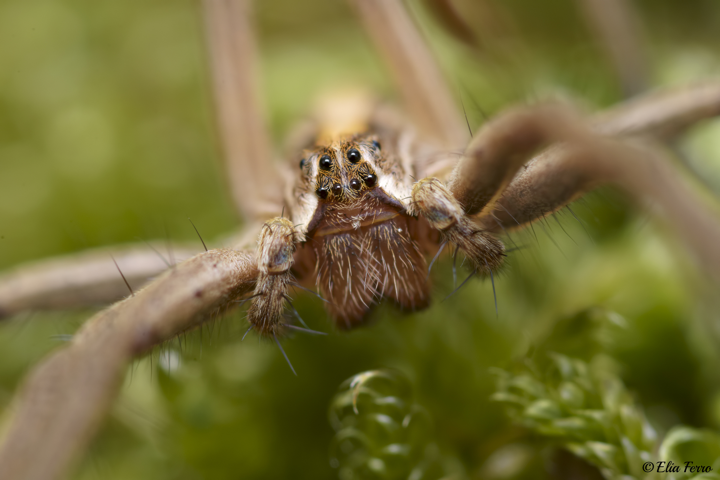 Incontri ravvicinati del terzo tipo..