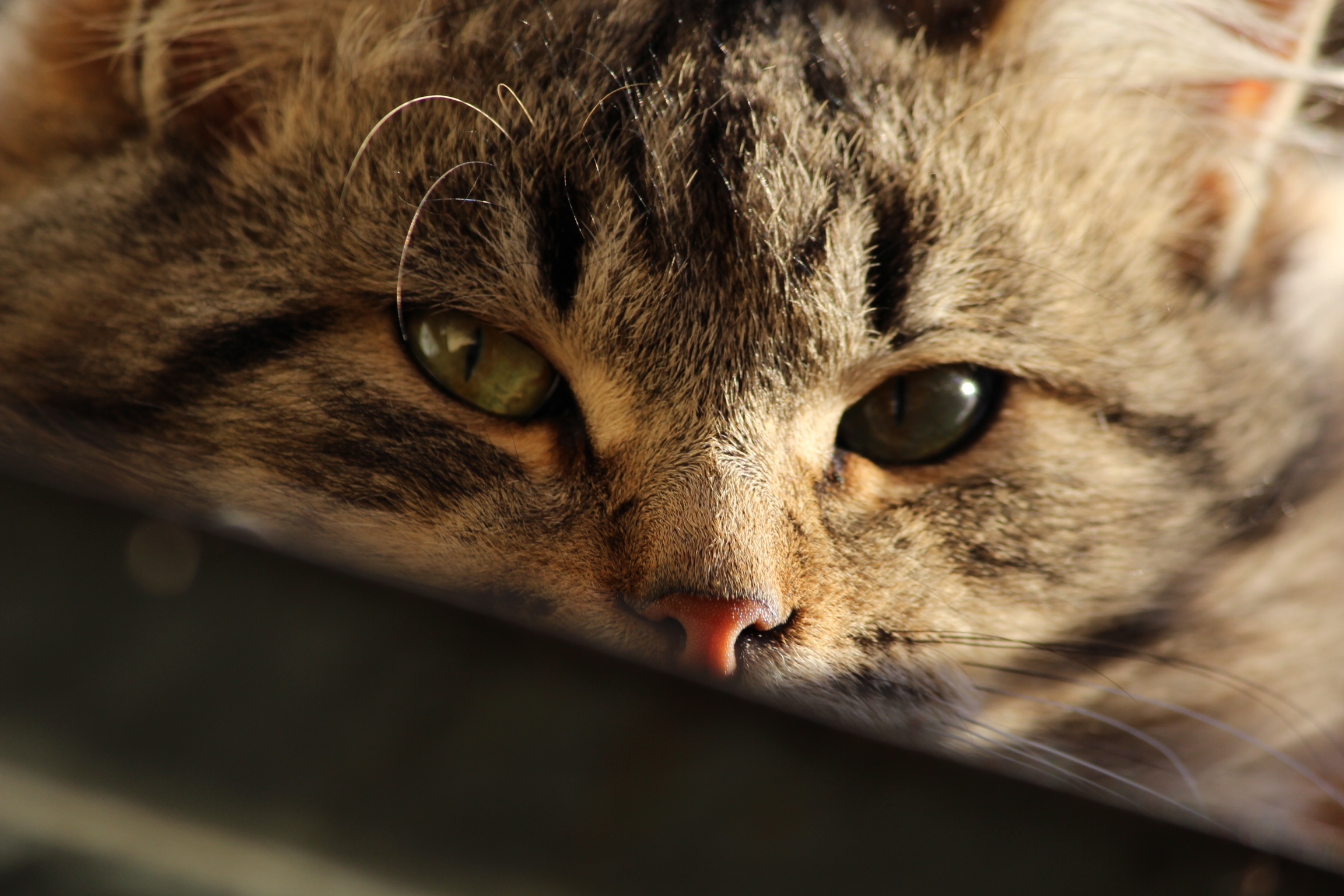 Beware ....... you look