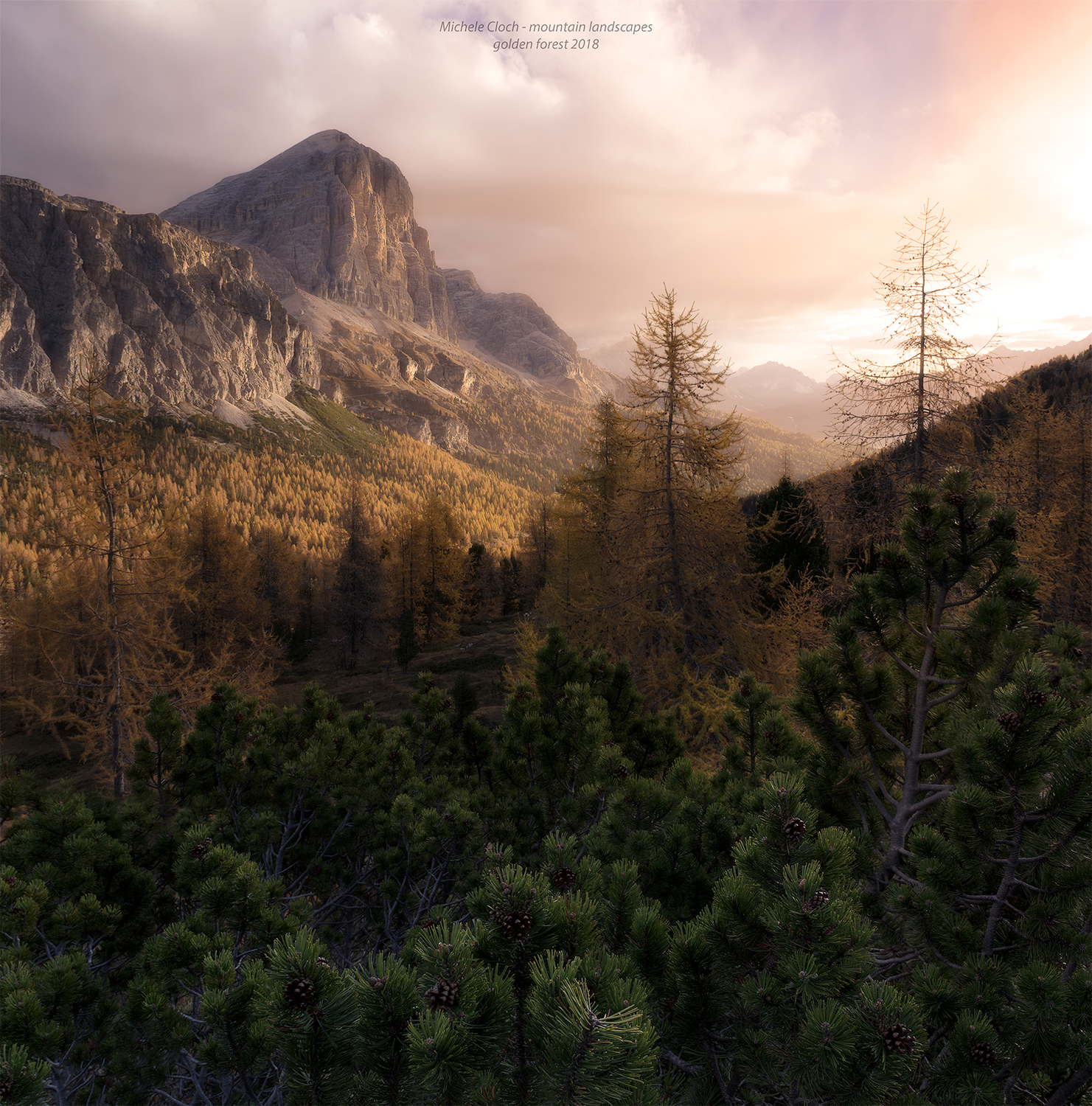 GOLDEN FOREST, IN the