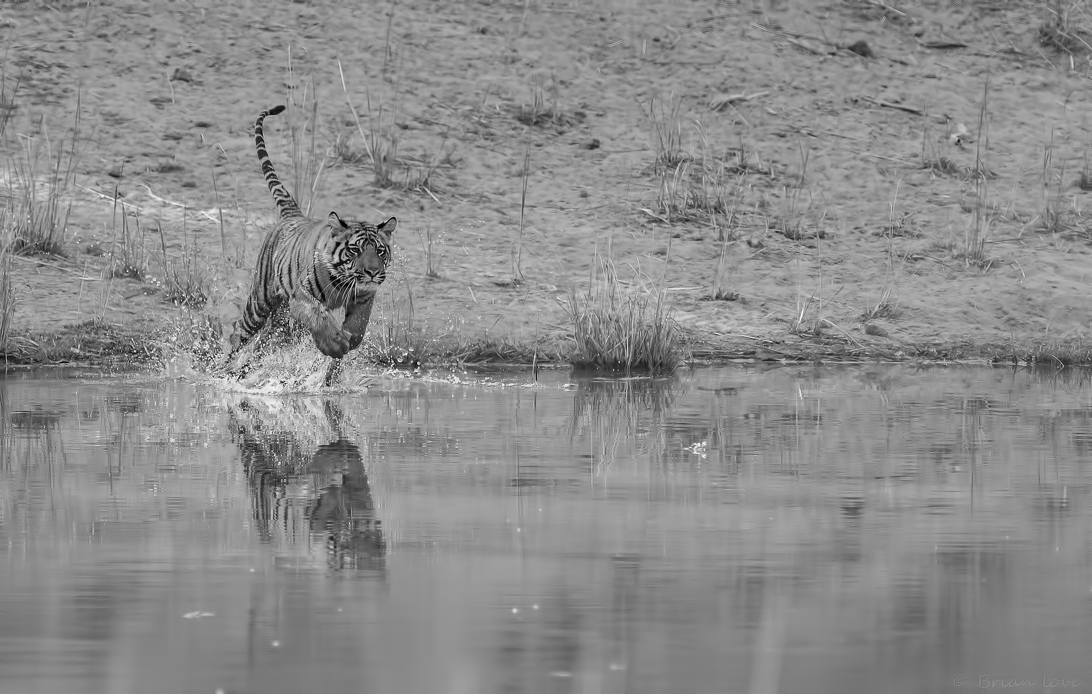 It's Fun To Be Young And Carefree!