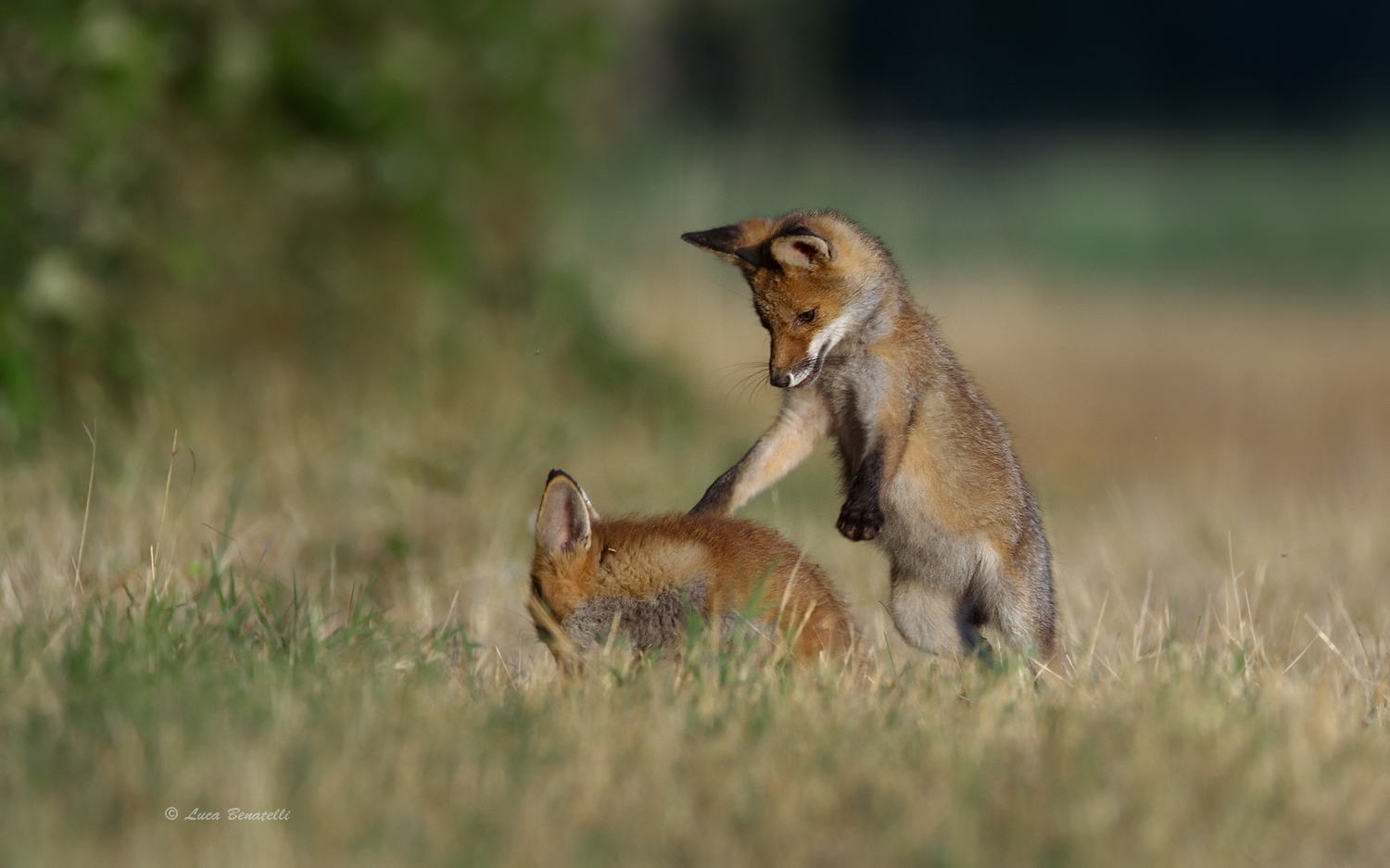 .. Now I'm going to get you...