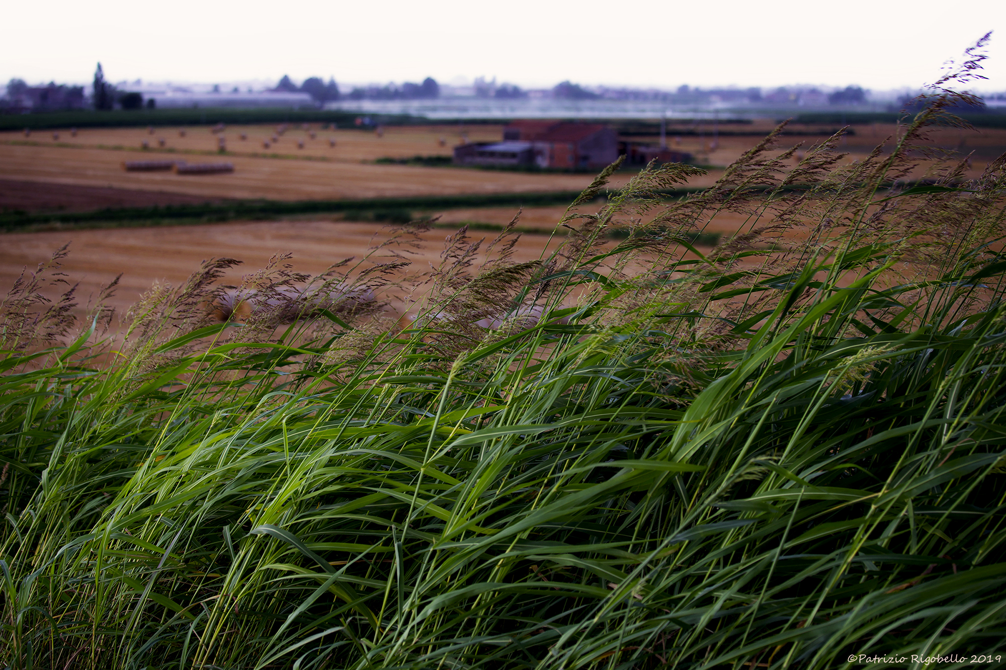 Wind do you remember me?
