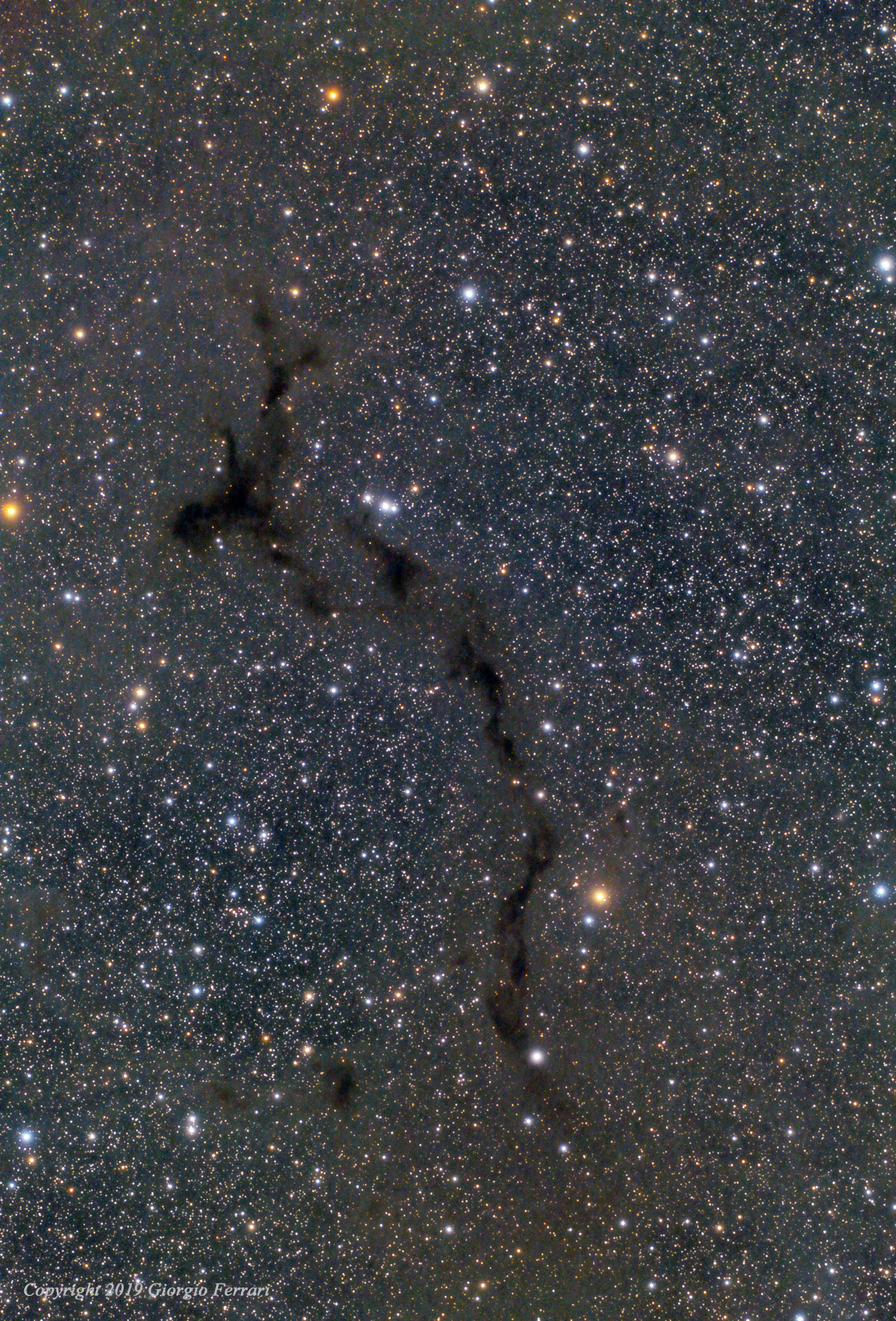 Barnard 150 "The Seahorse Nebula"