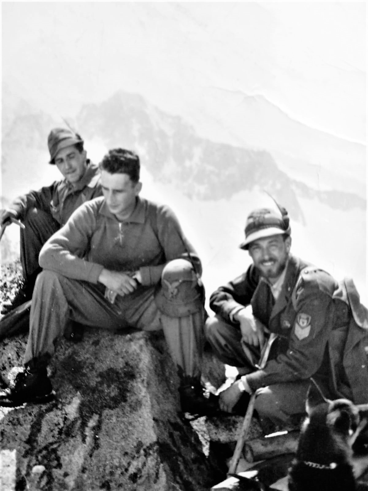 Rogue nostralgia - 8 -