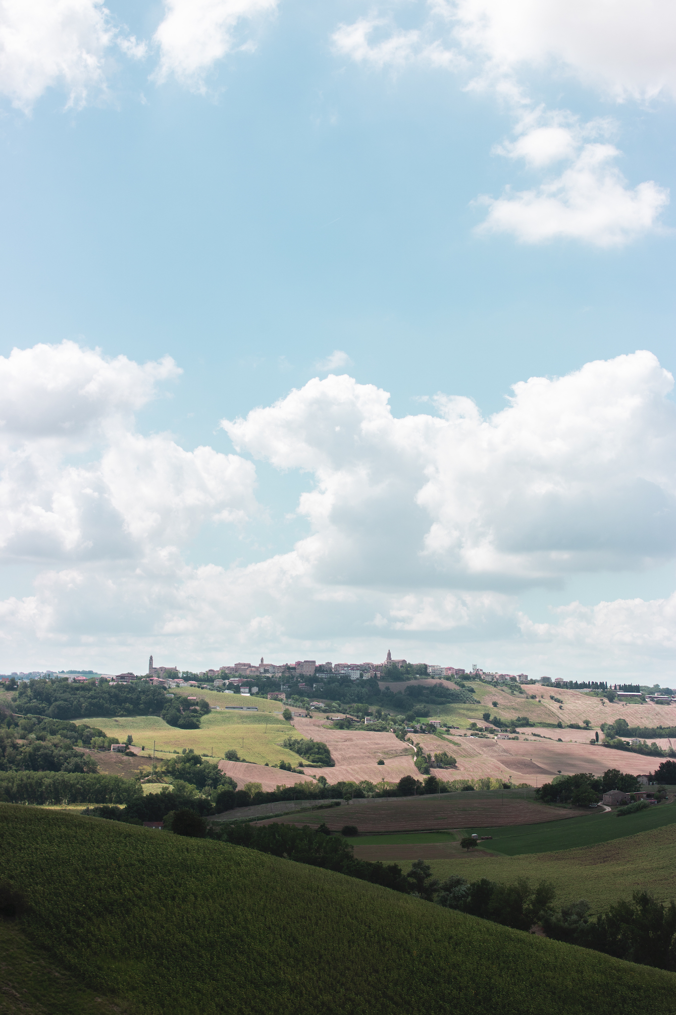 Paessaggi marchigiani