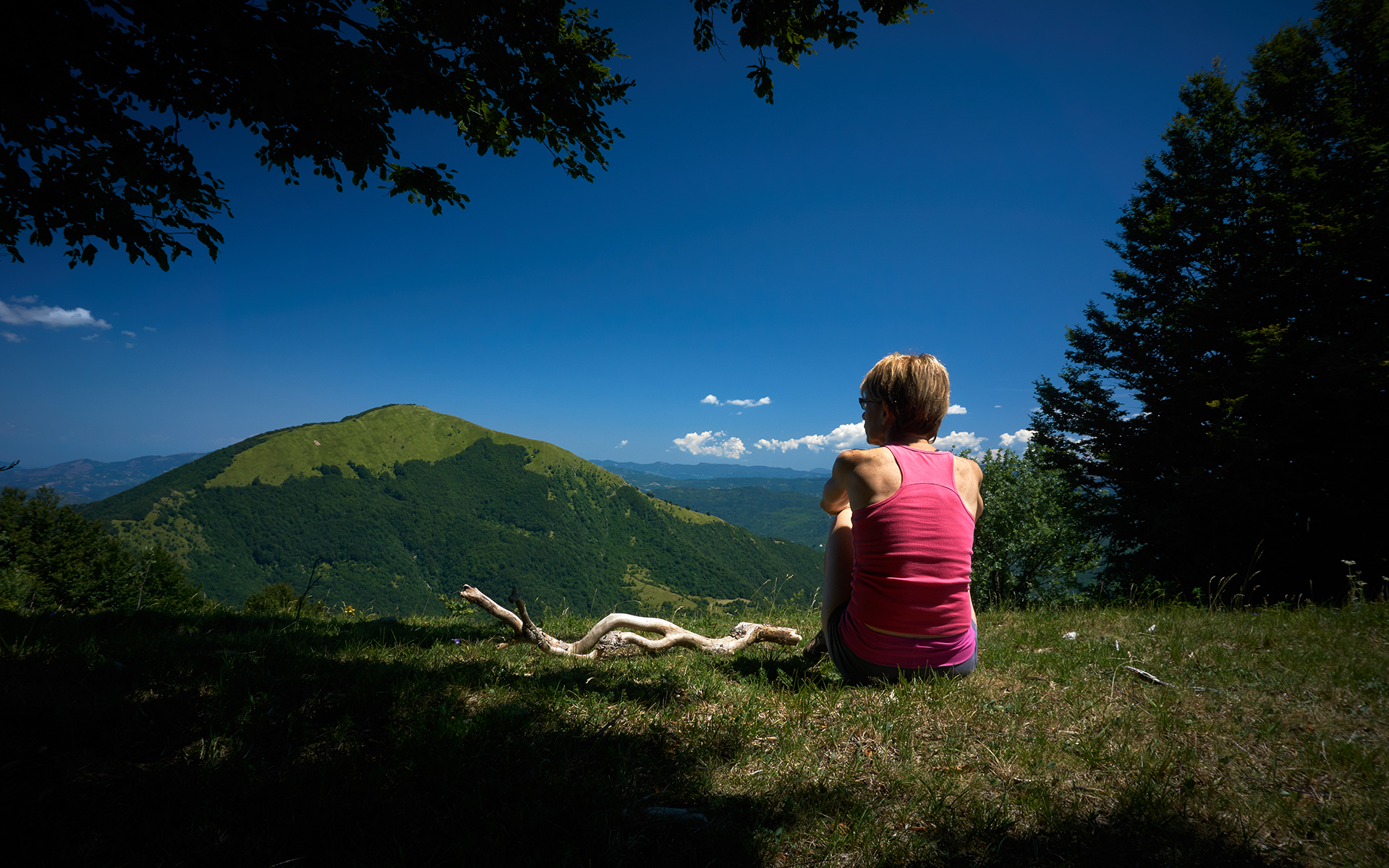 Osservano il monte Alfeo - 03.08.19