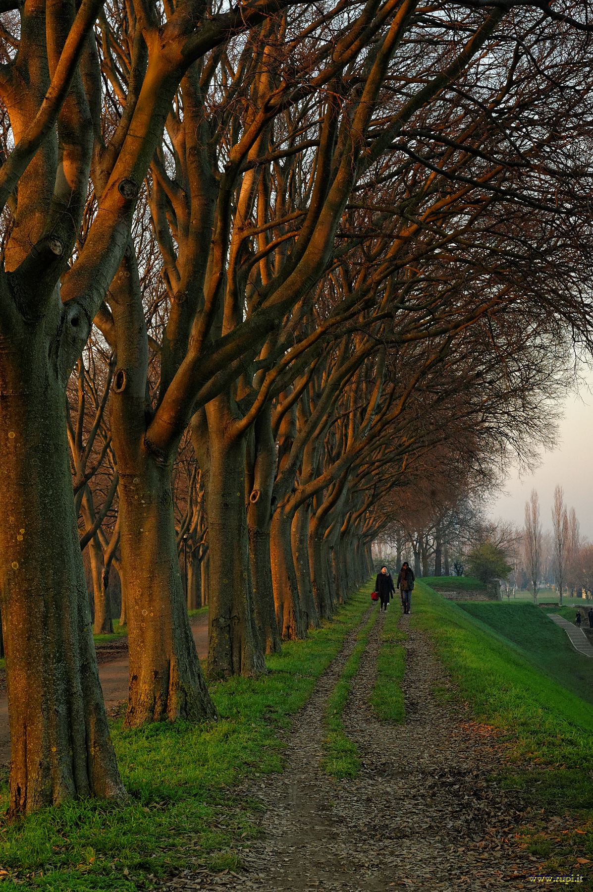 Passeggiata al tramonto