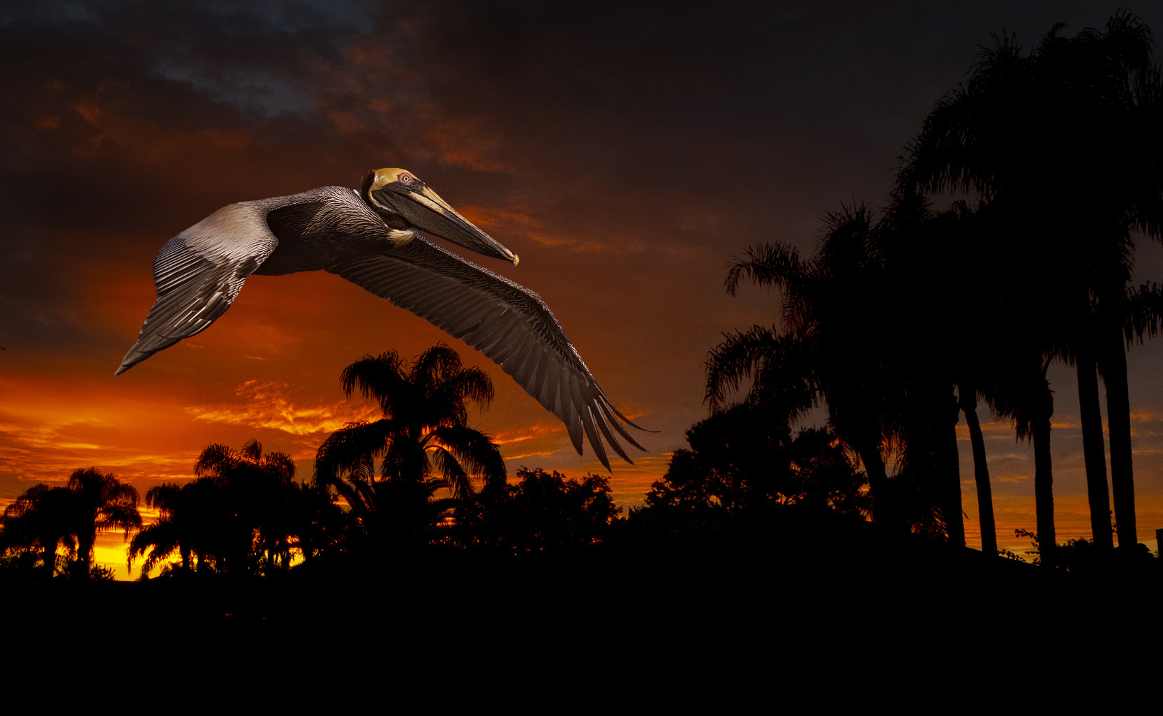 Divertimento photoshop.