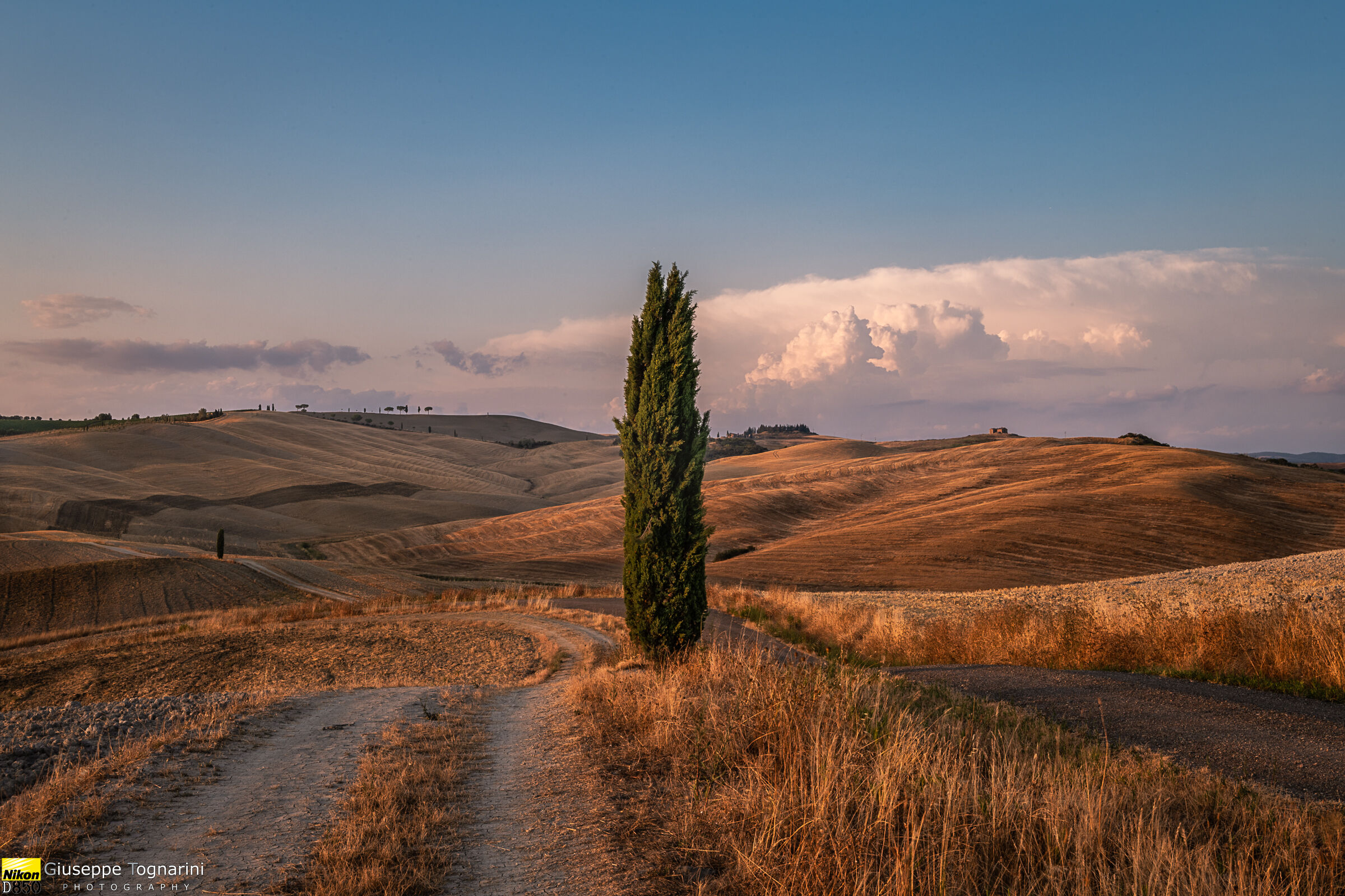 Le colline della Val d'Orcia (si)