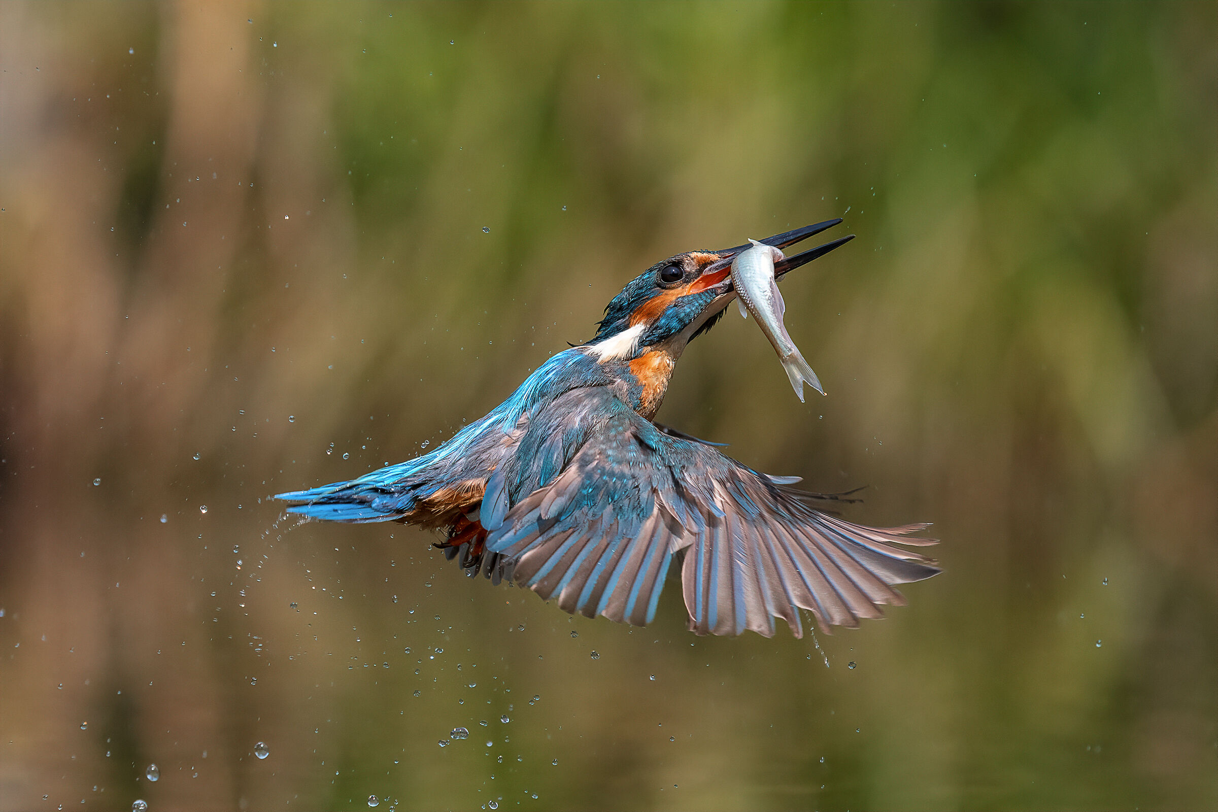 fishing