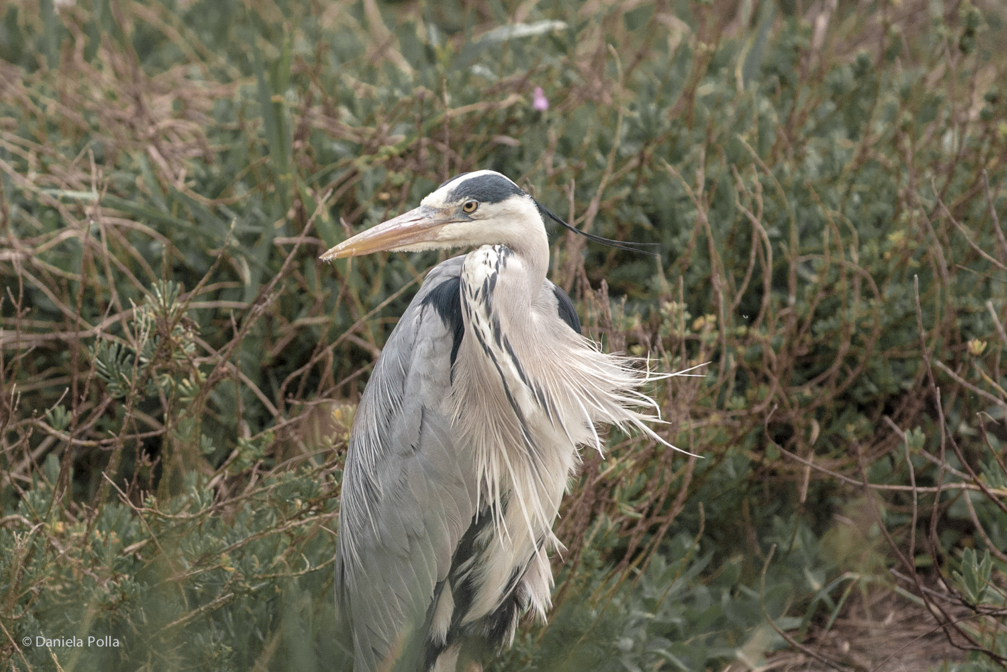 Guarda, oggi non e' proprio giornata ... :-)