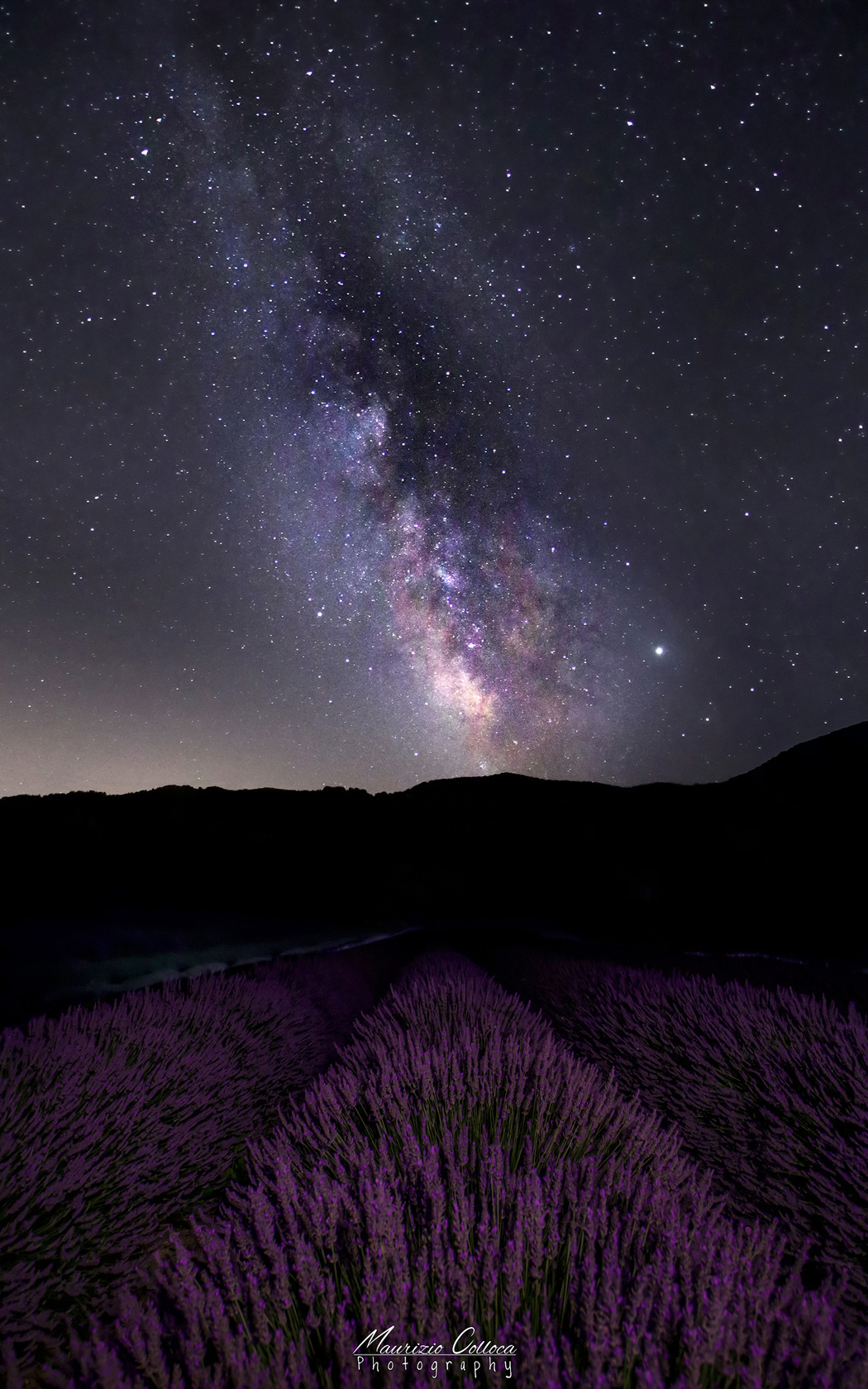 The Blooming Milky Way.