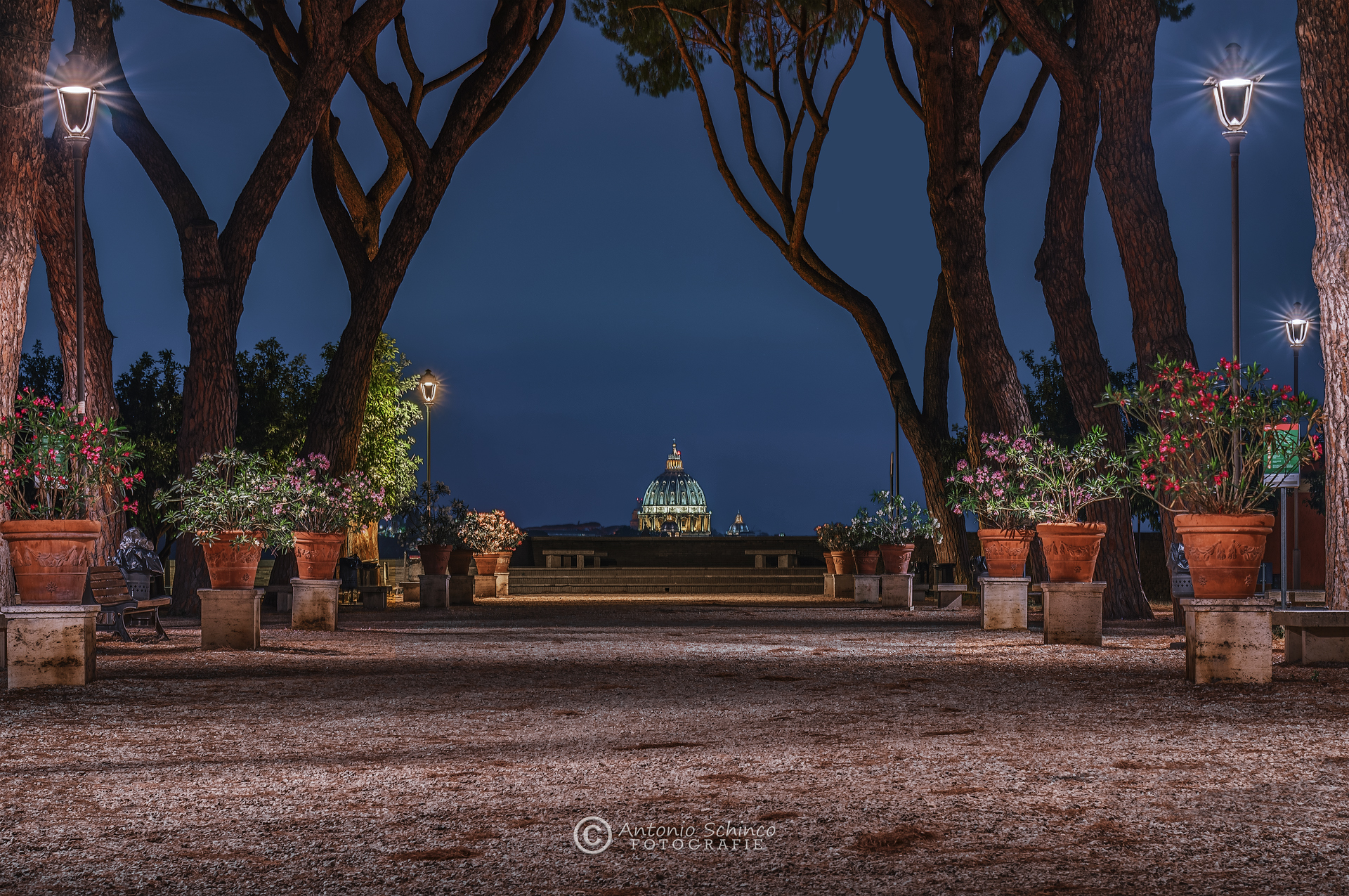 Avenue Nino Manfredi In A Summer Evening