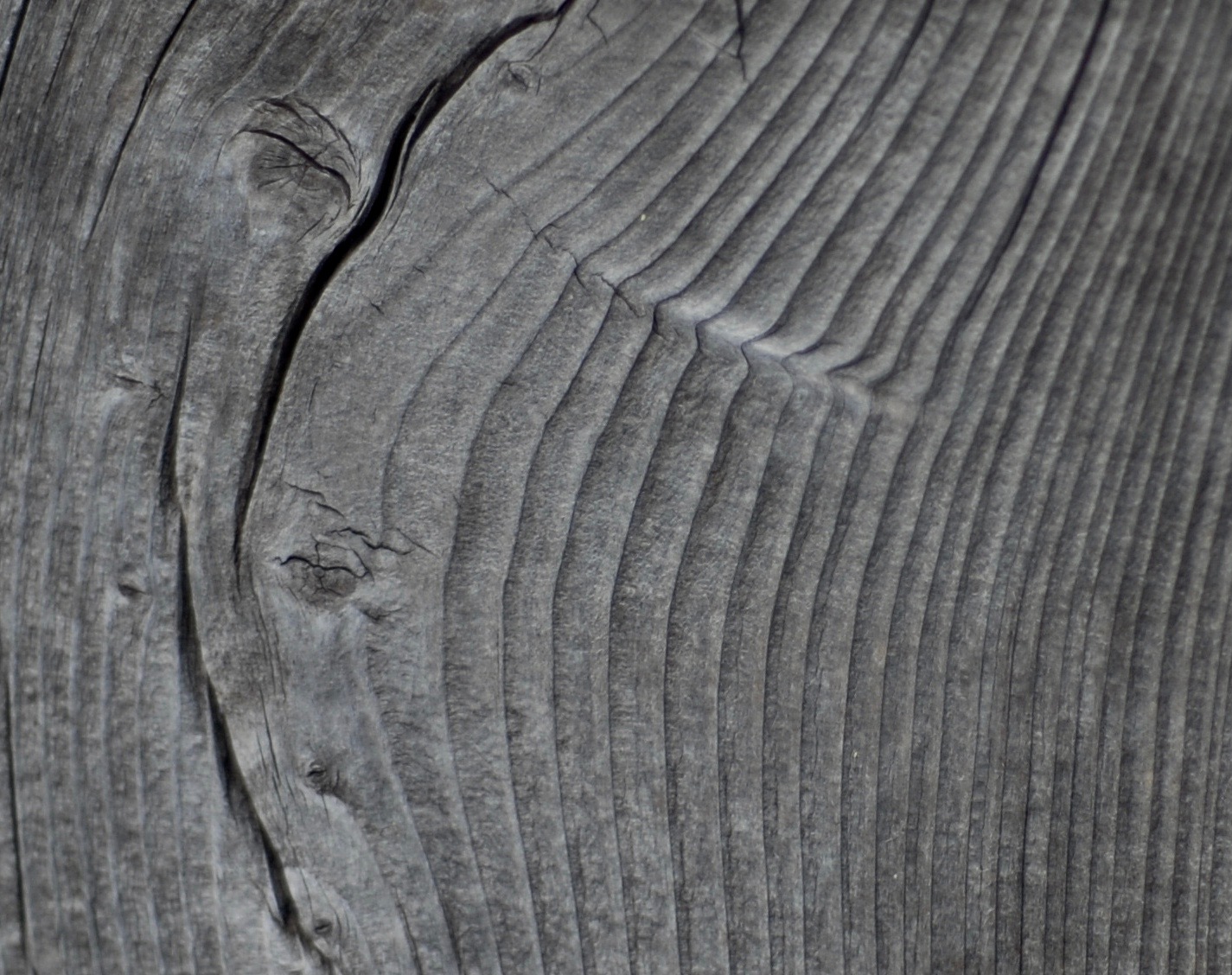 portrait on wood