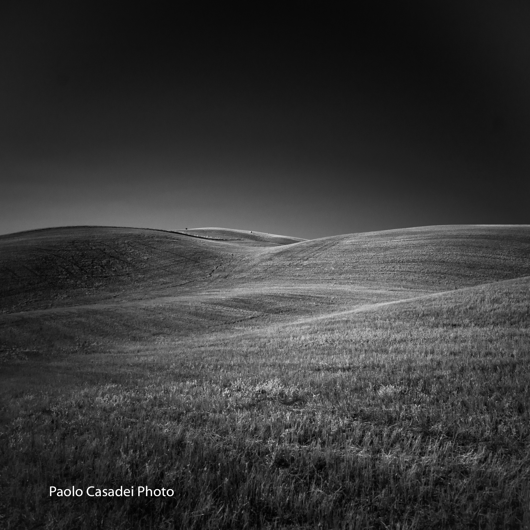 Bianco e nero alternativo 1