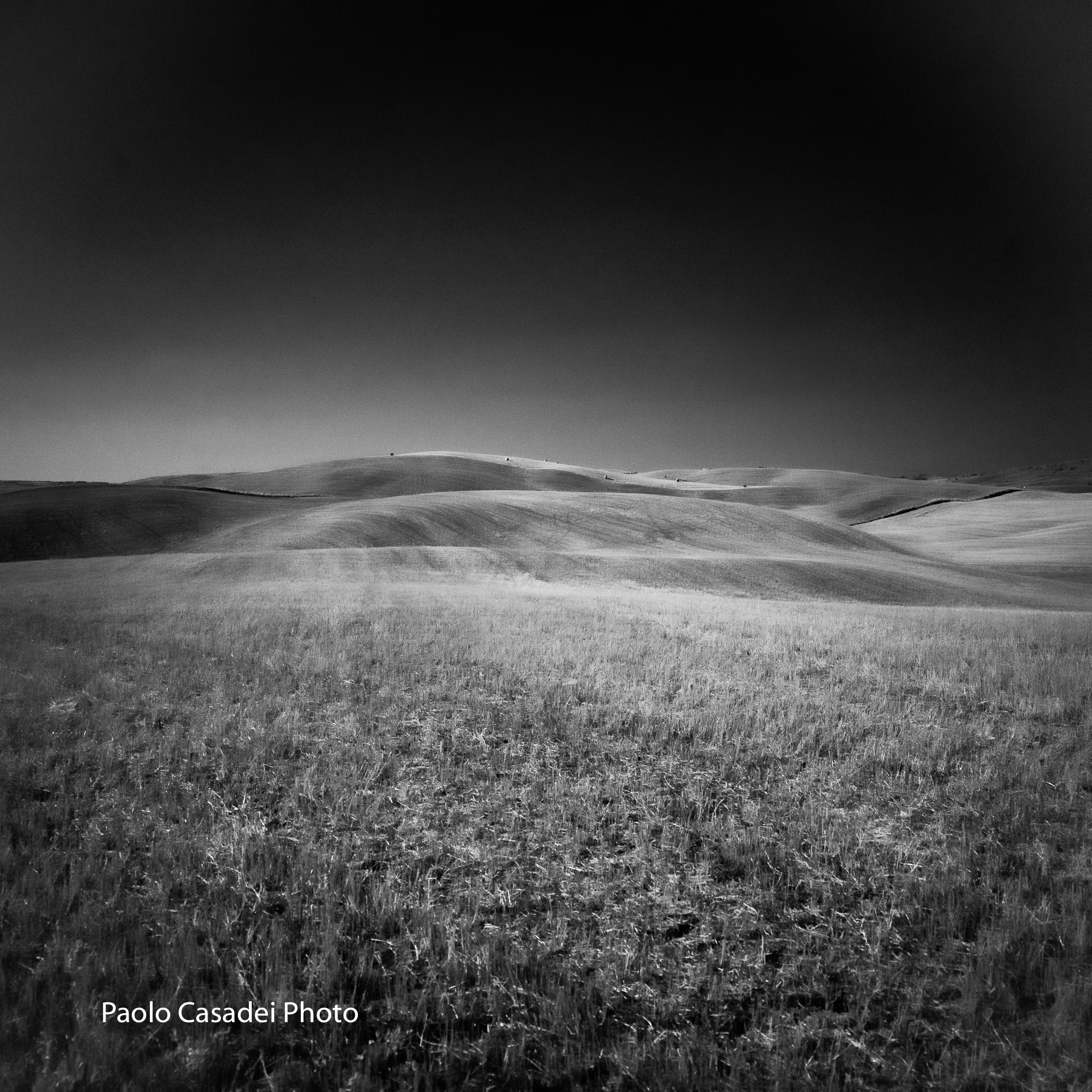 Bianco e nero alternativo 3