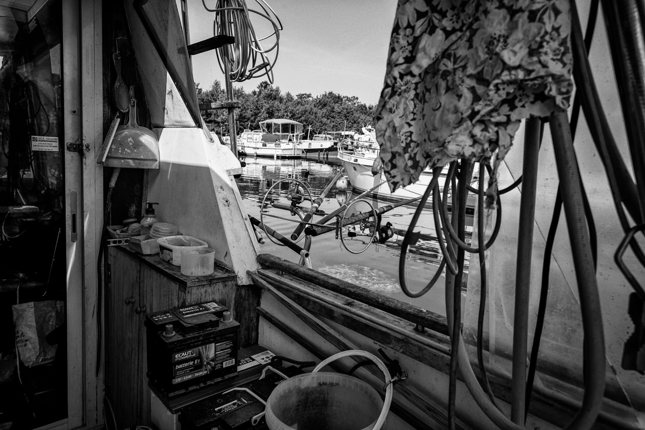 Tracce di vita fluviale