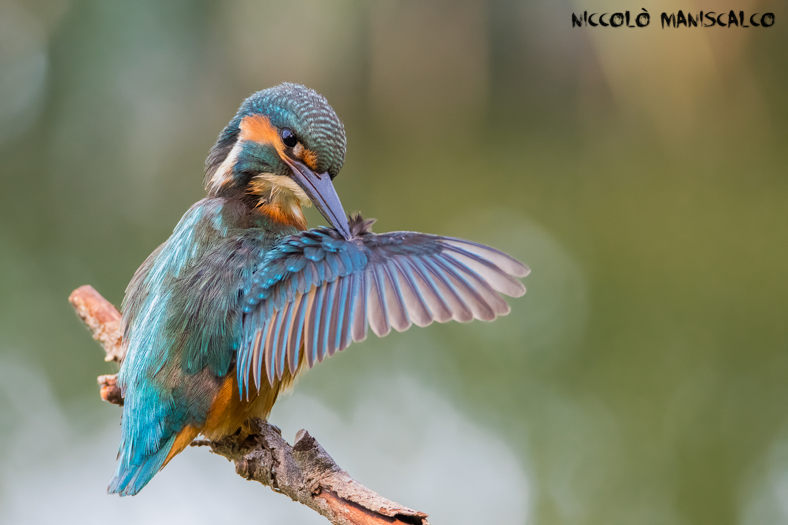 Every Time it's Wonderful !