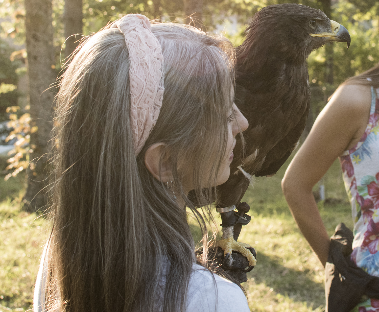 Profiles