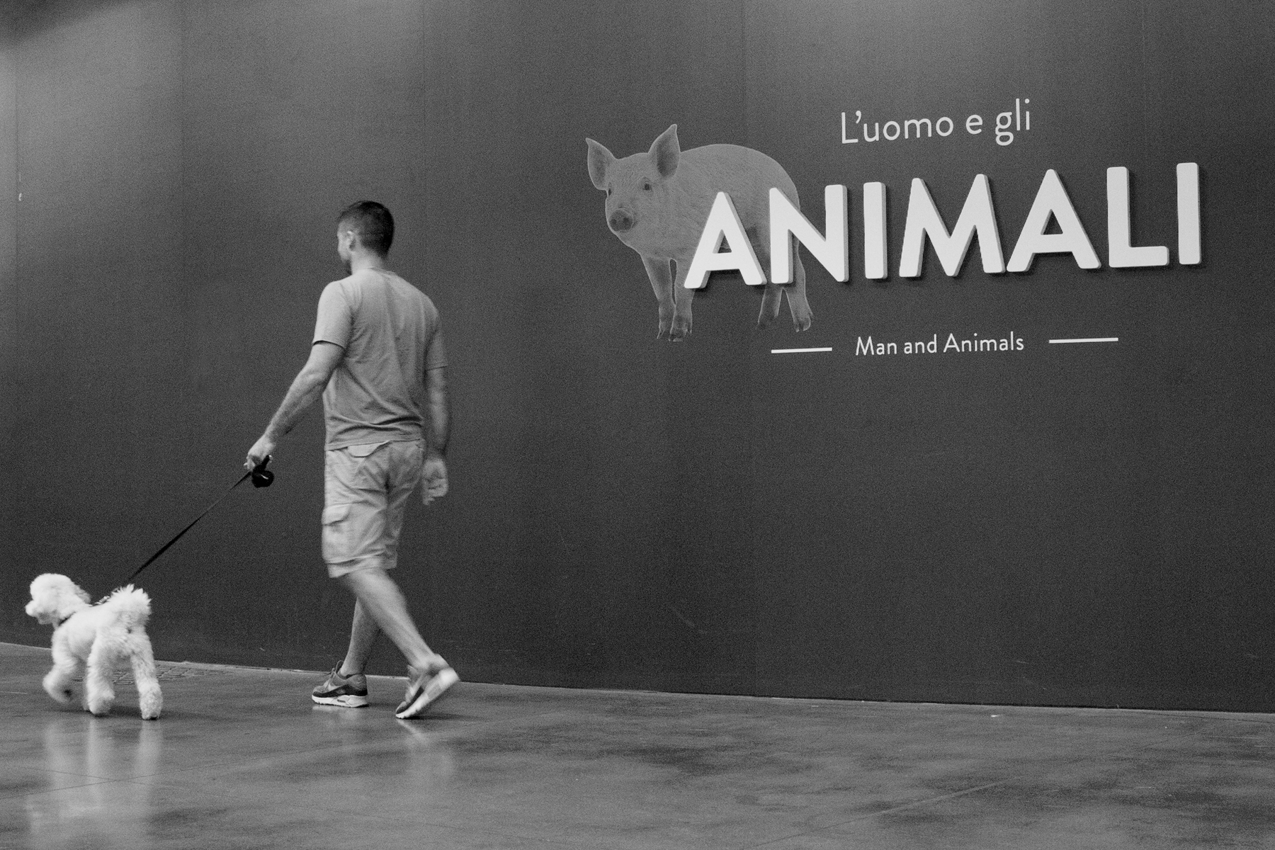 L'uomo e gli animali